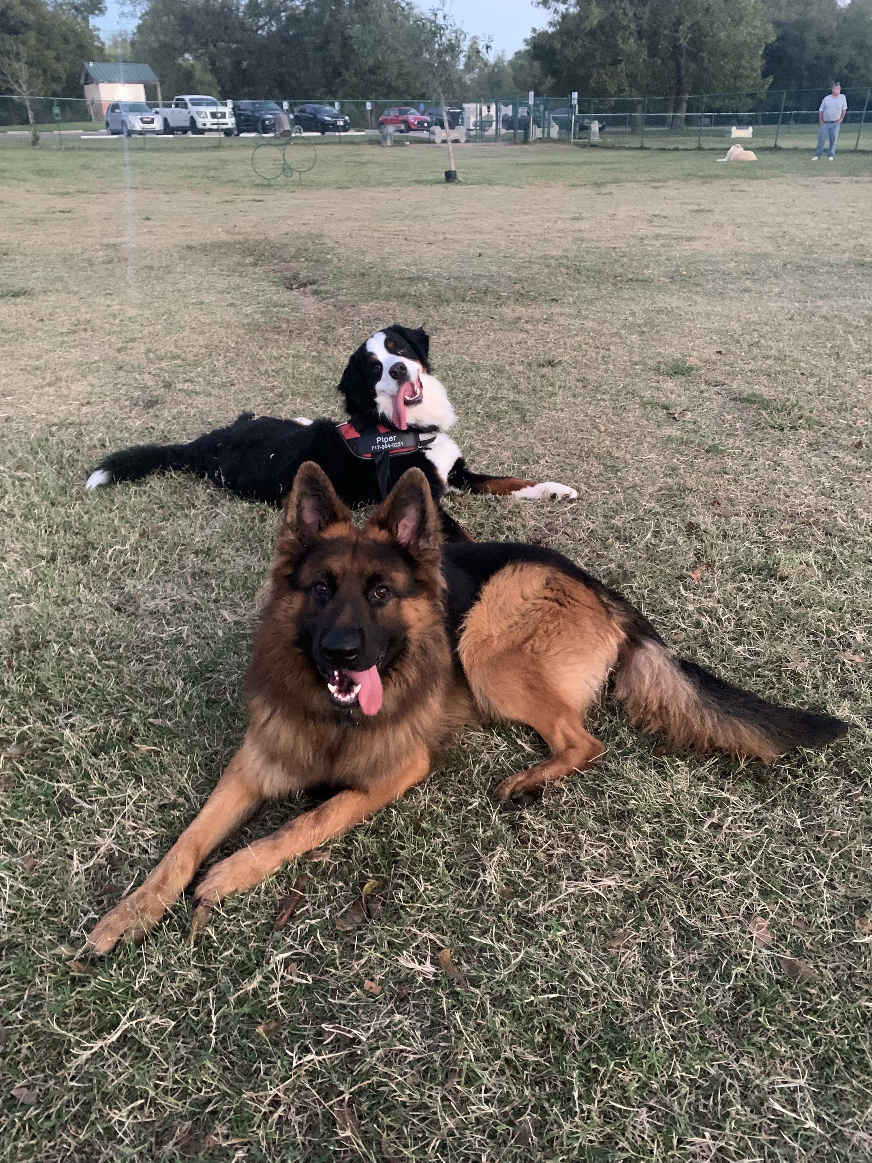 Central Texas Bark Park