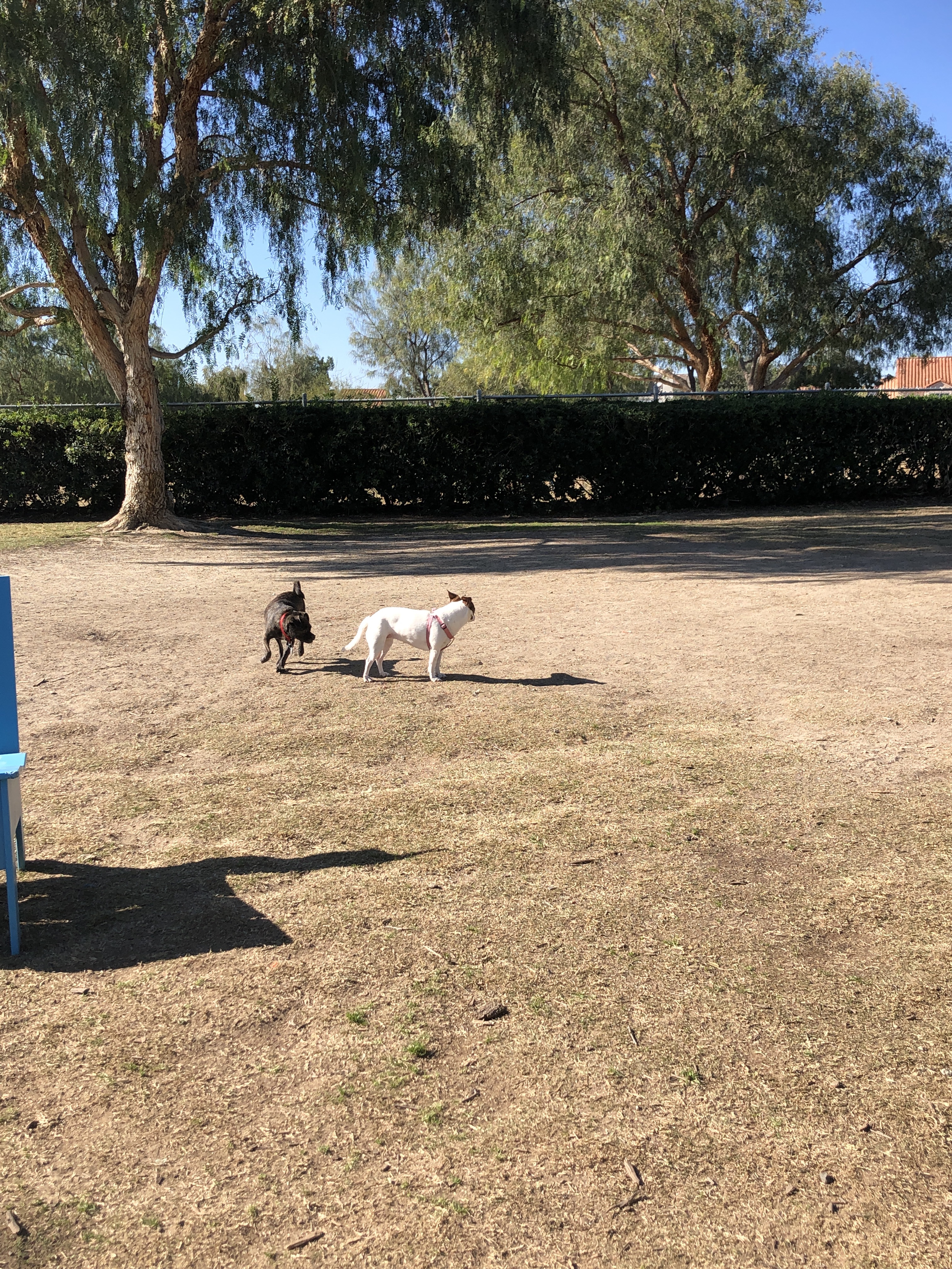 La Paws Dog Park