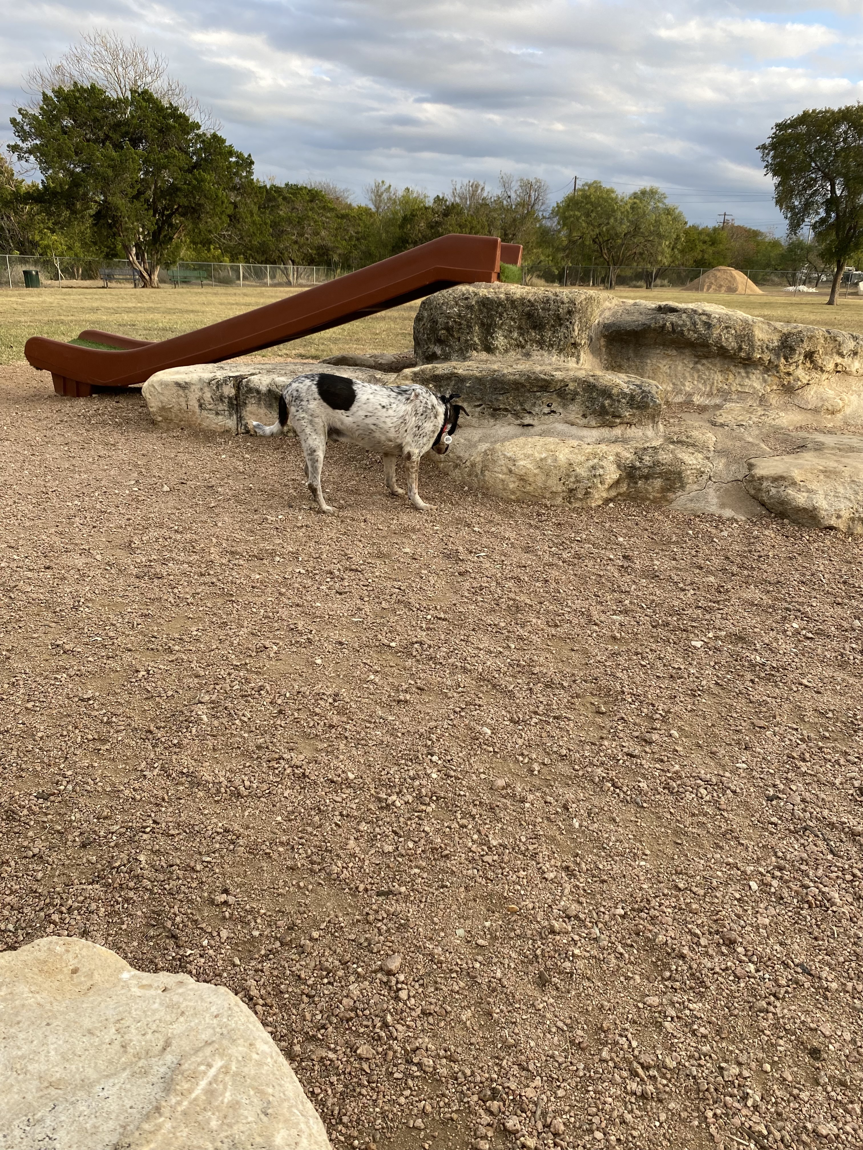 Lehmann Monroe Dog Park