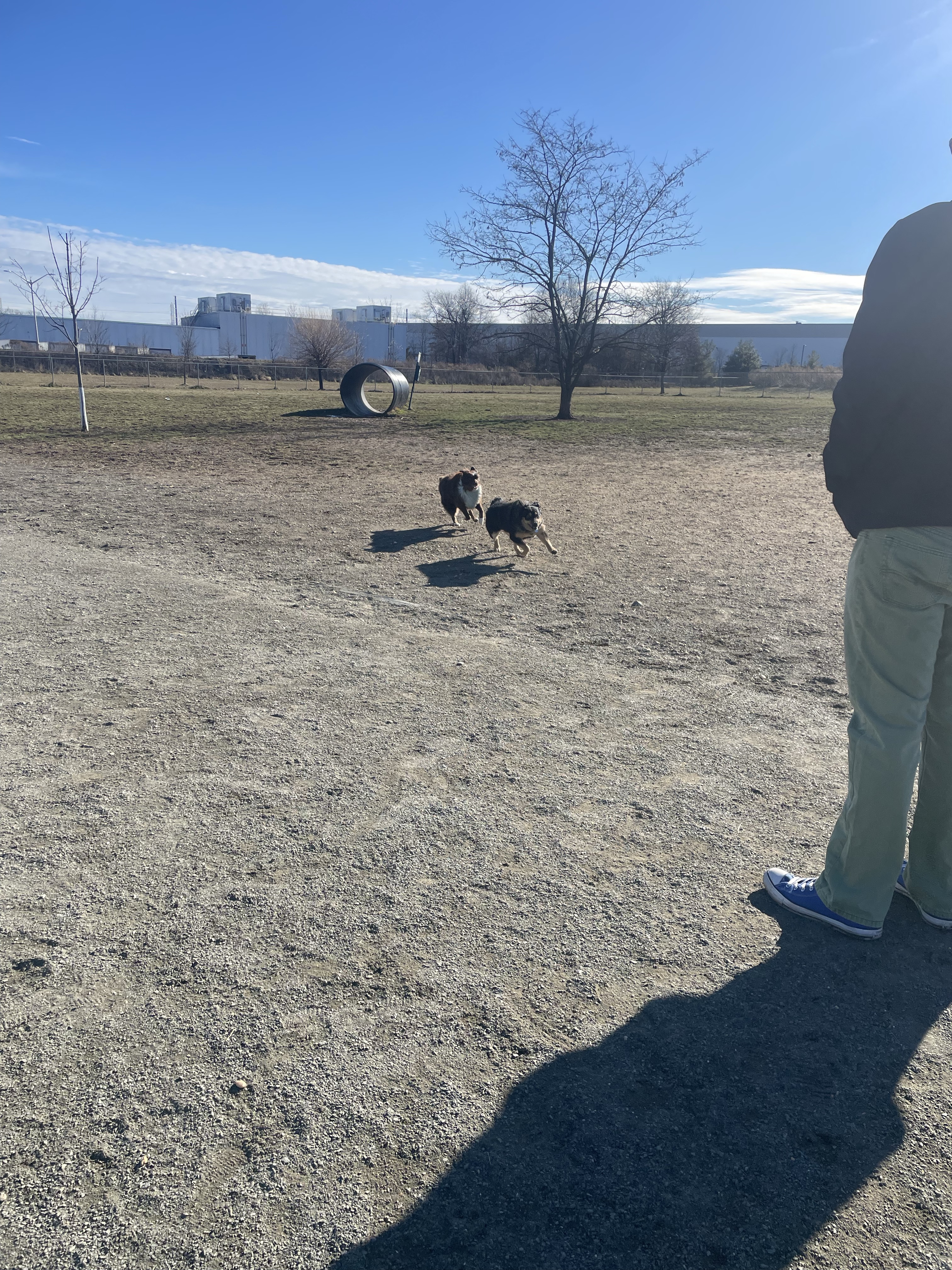 Edison-Metuchen Community Dog Park