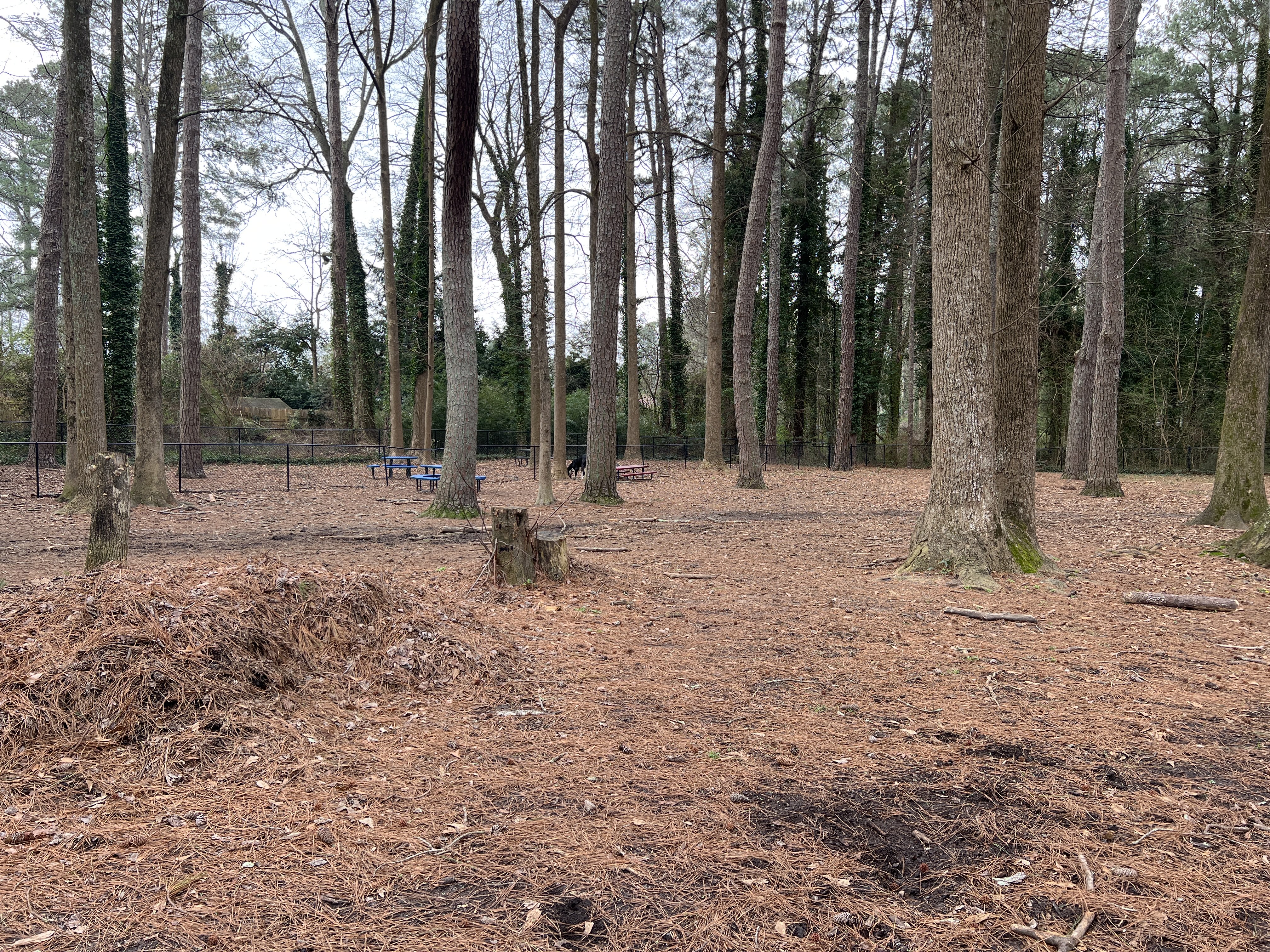 Clarkston Dog Park at Milam Park