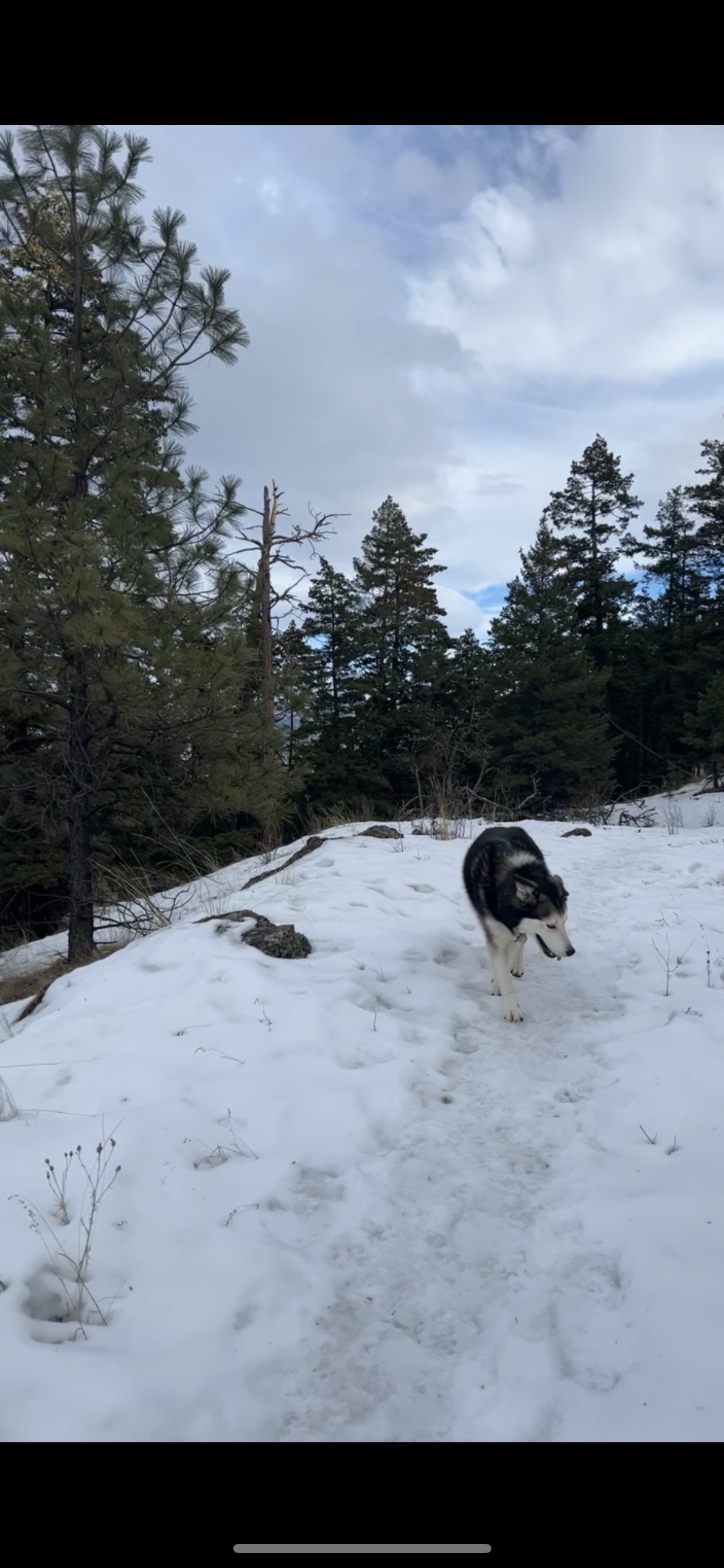 Kenna Cartwright Nature Park - Off-Leash Park