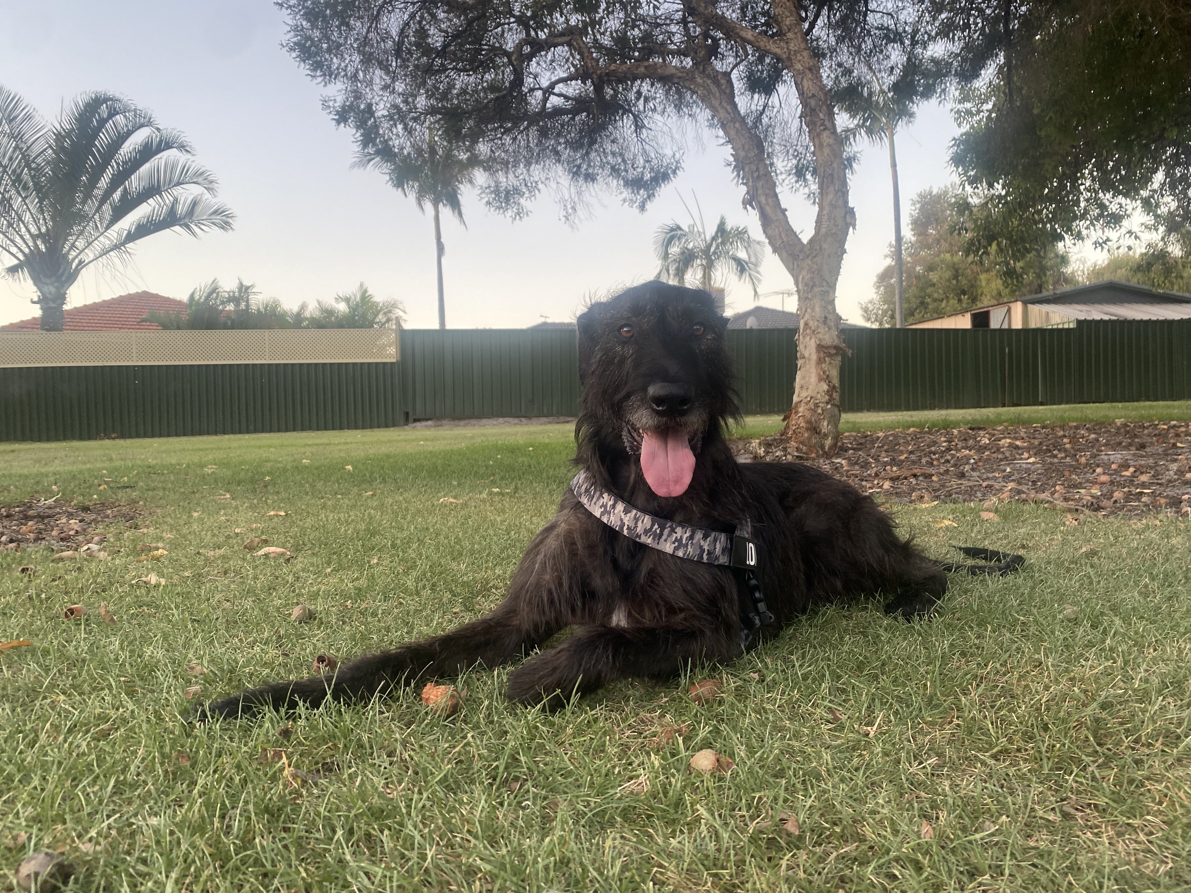 Ailsworth Court Reserve