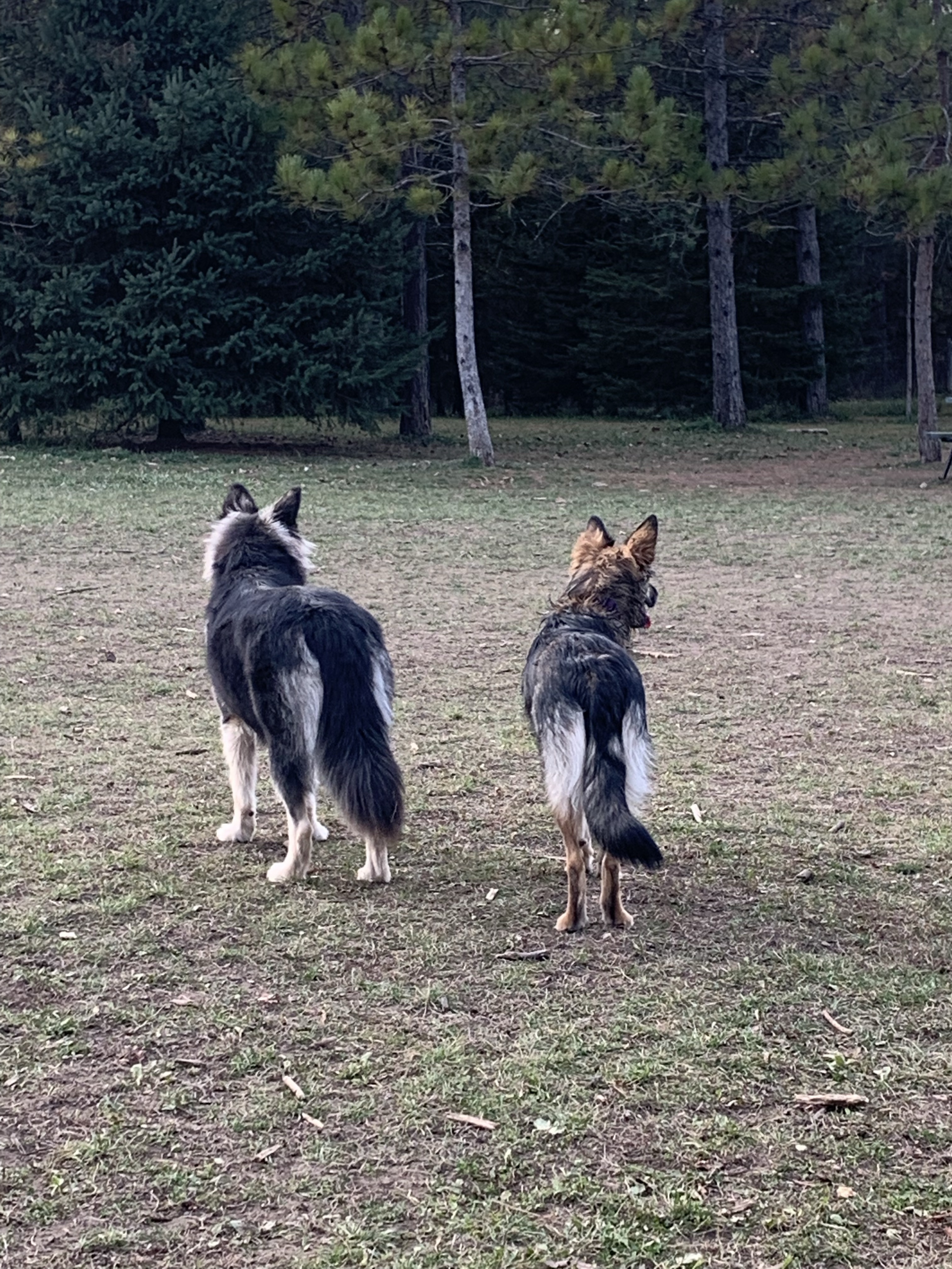 Scanlon Creek Conservation Area