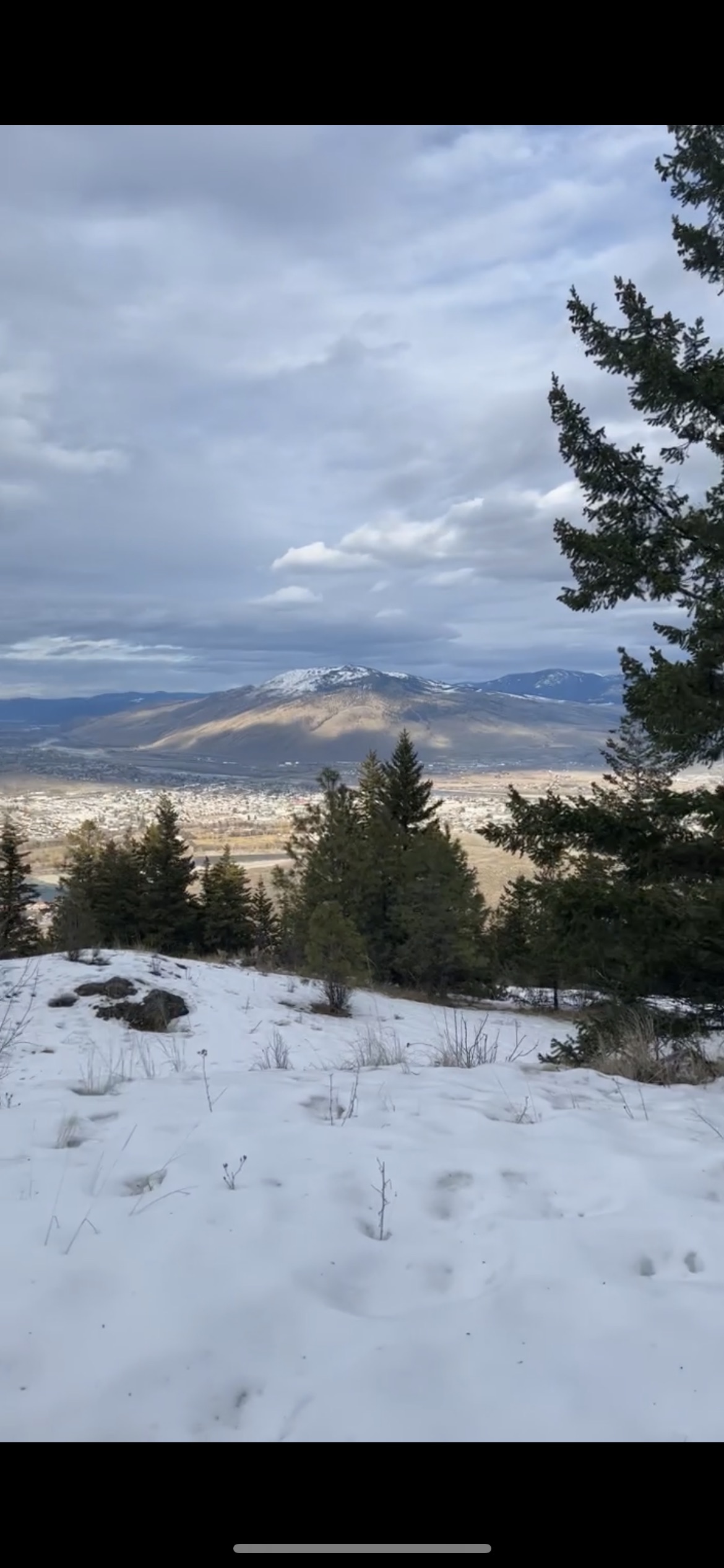 Kenna Cartwright Nature Park - Off-Leash Park
