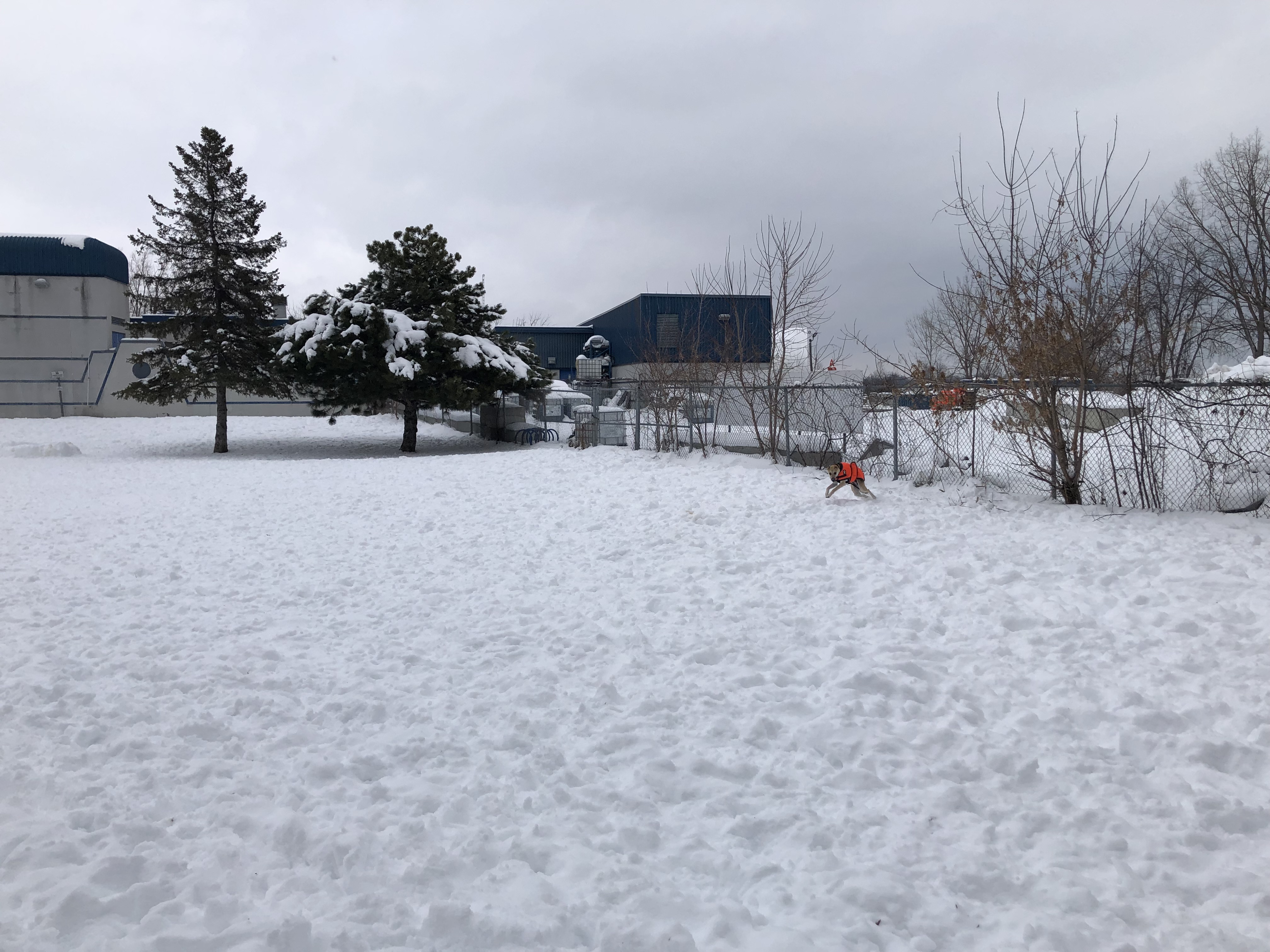 Town of île-Perrot - Dog Park