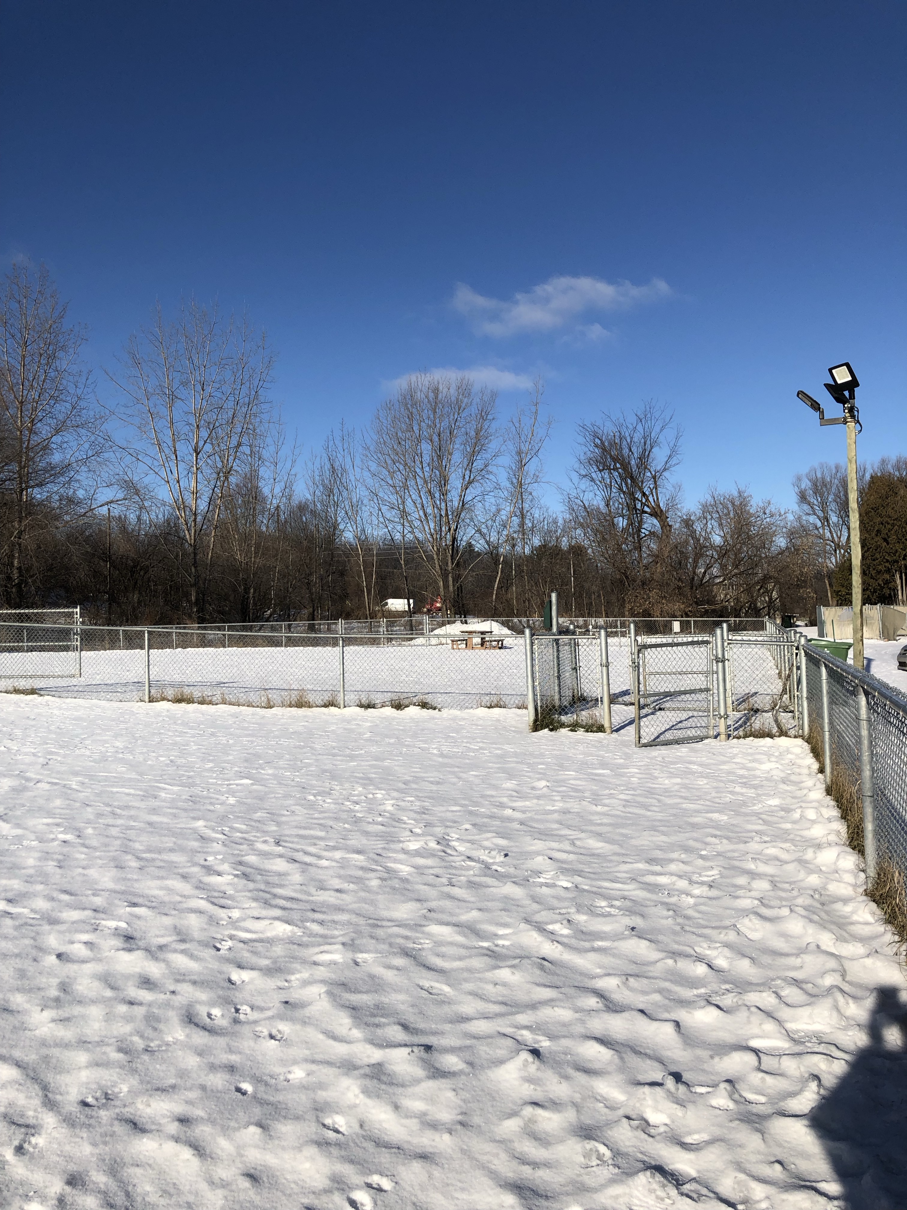 Global Pet Foods Dog Park