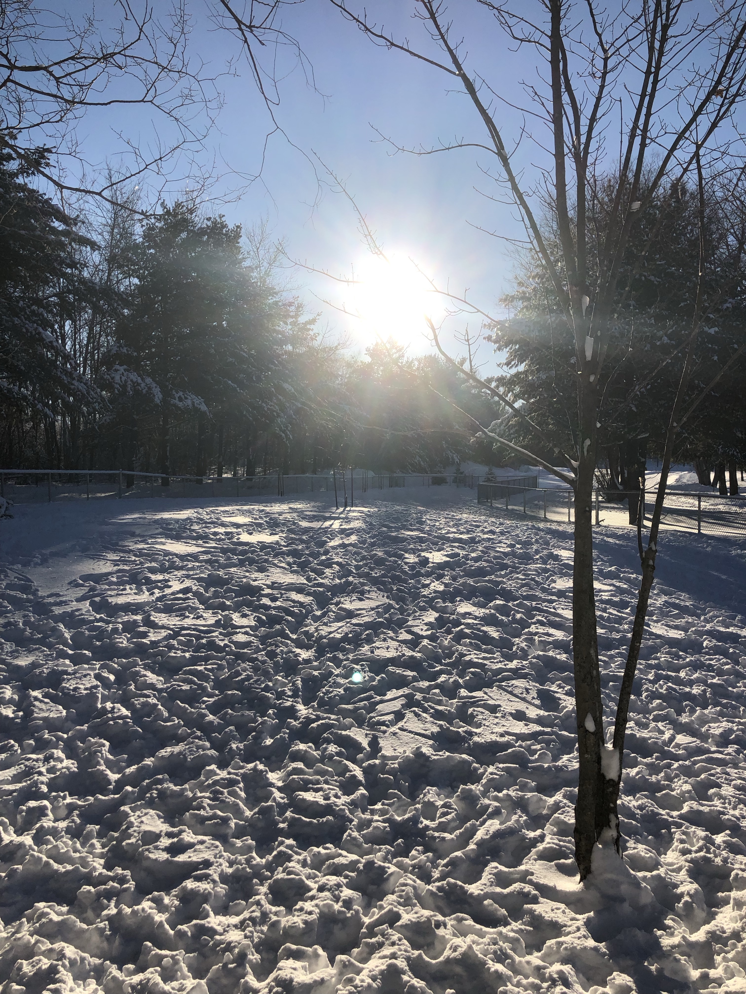 Parc-Nature Harwood Dog Park