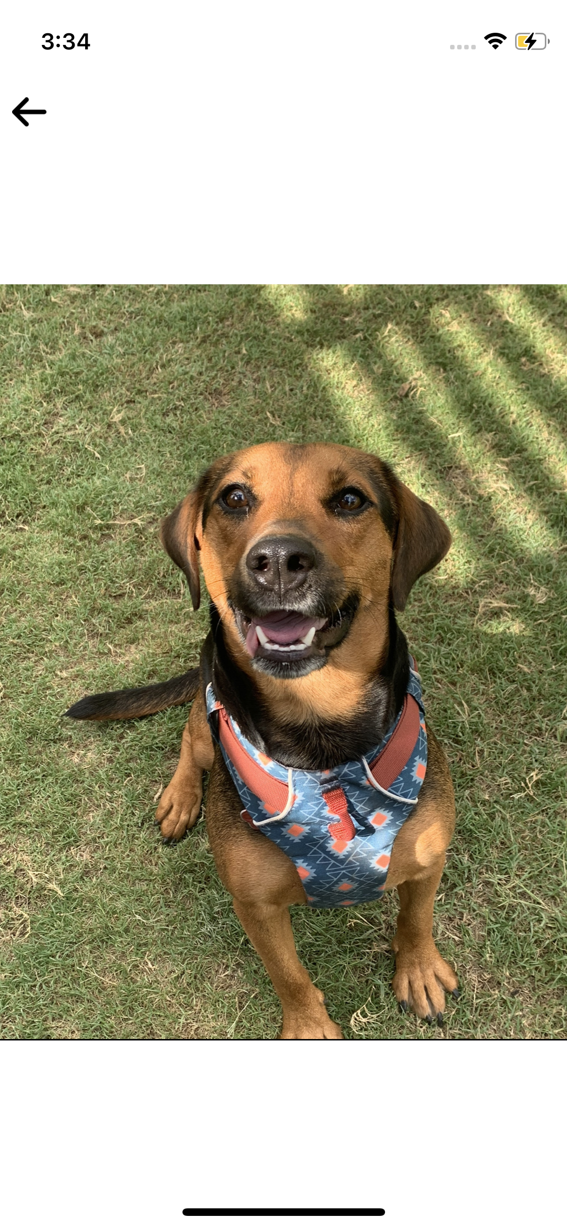 parc per a gossos Barcelona