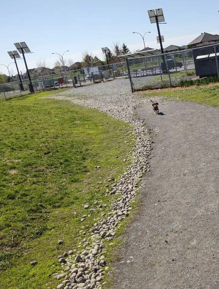 Brossard Dog Park
