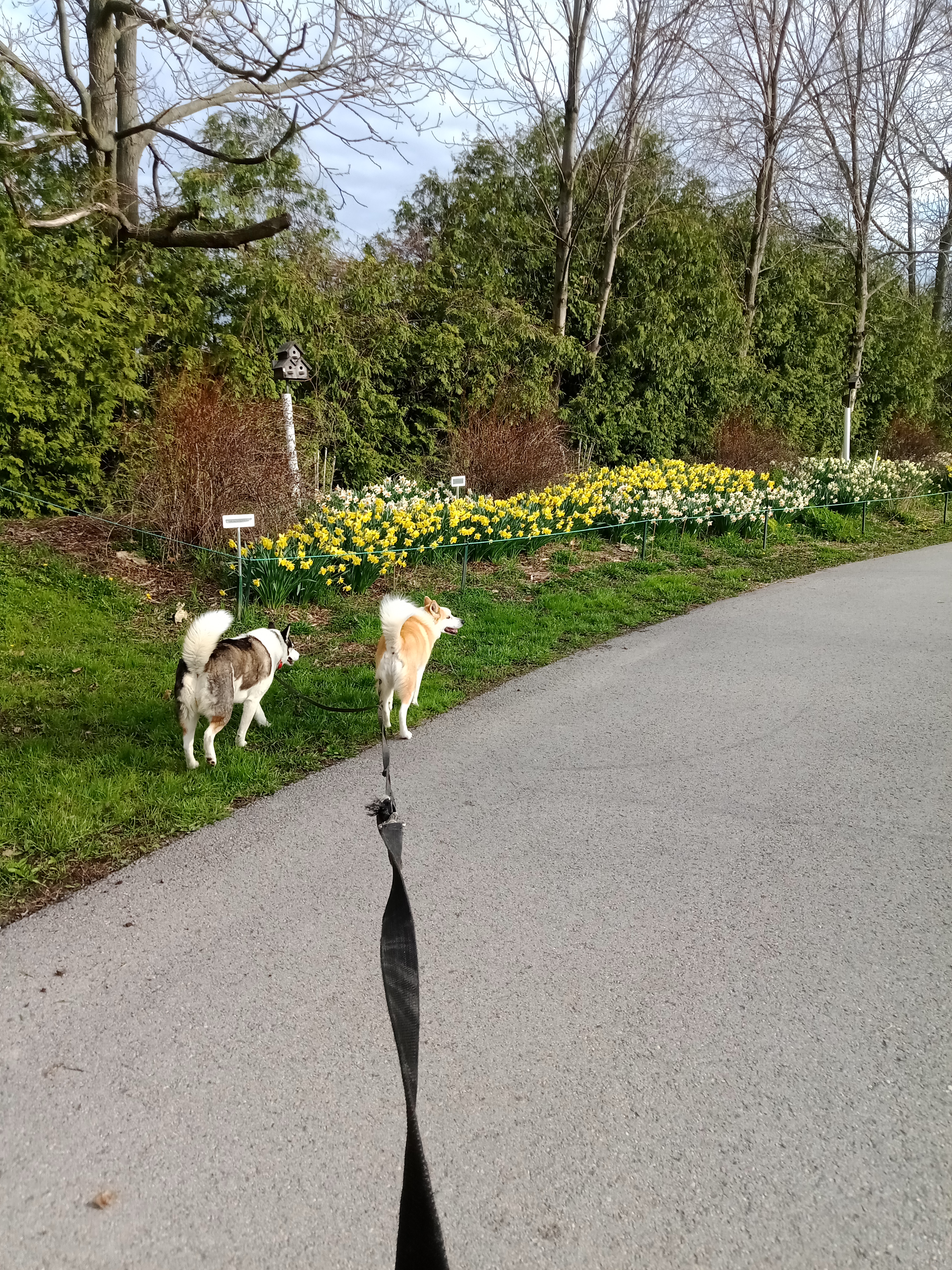 Beaverton Fairgrounds