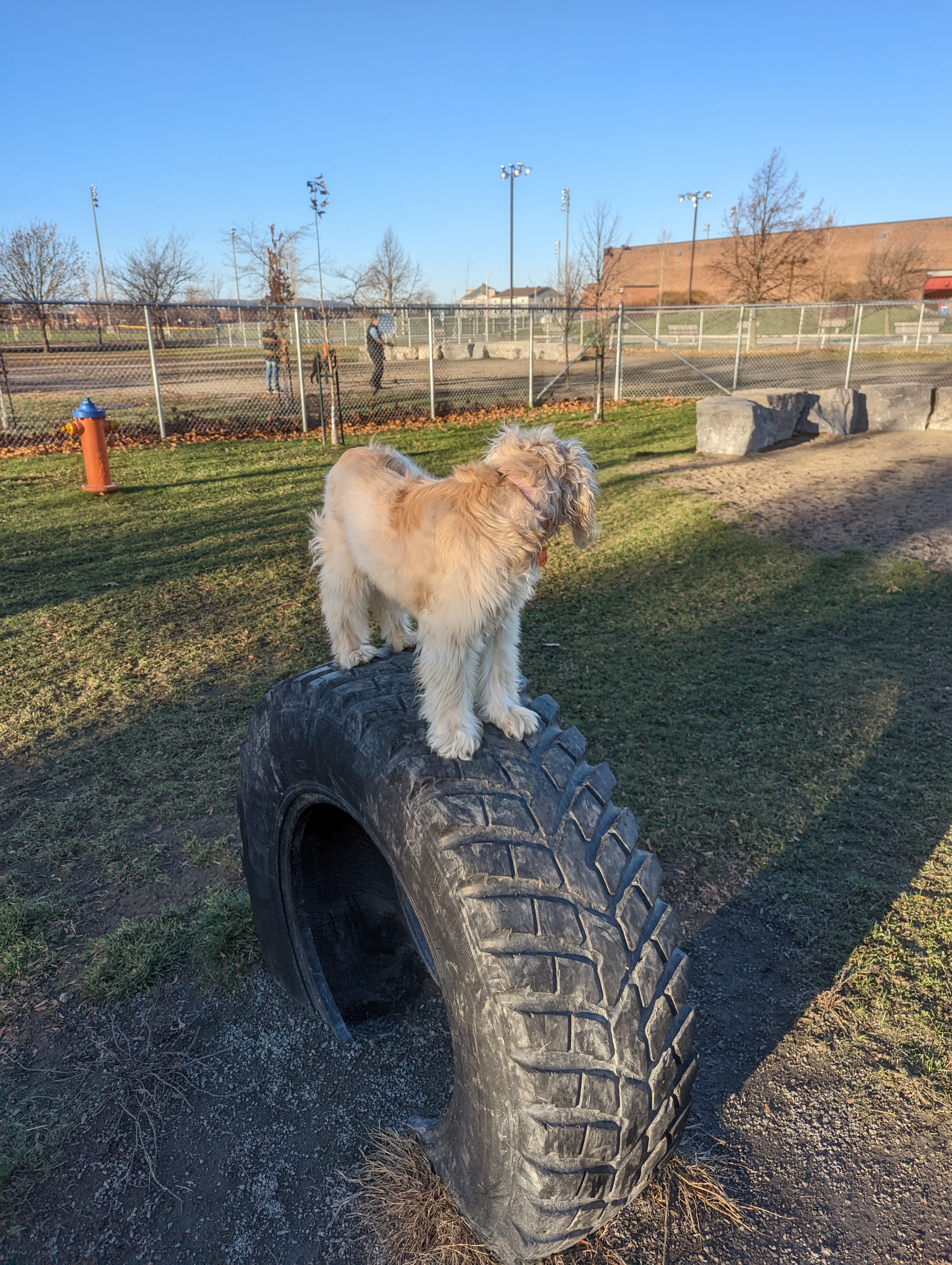 Parc Canin de Beloeil