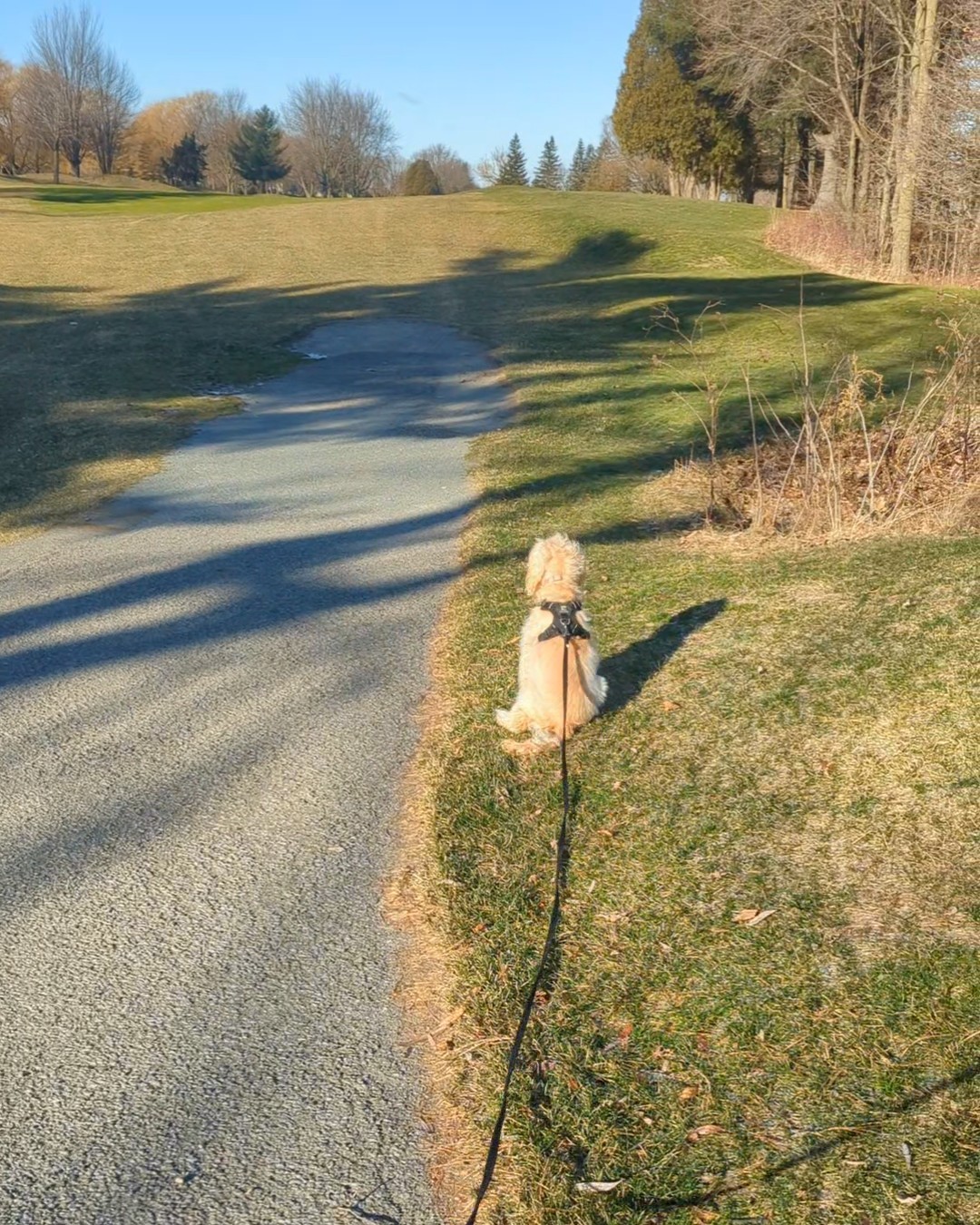 Club de Golf de Beloeil (Hiver seulement)