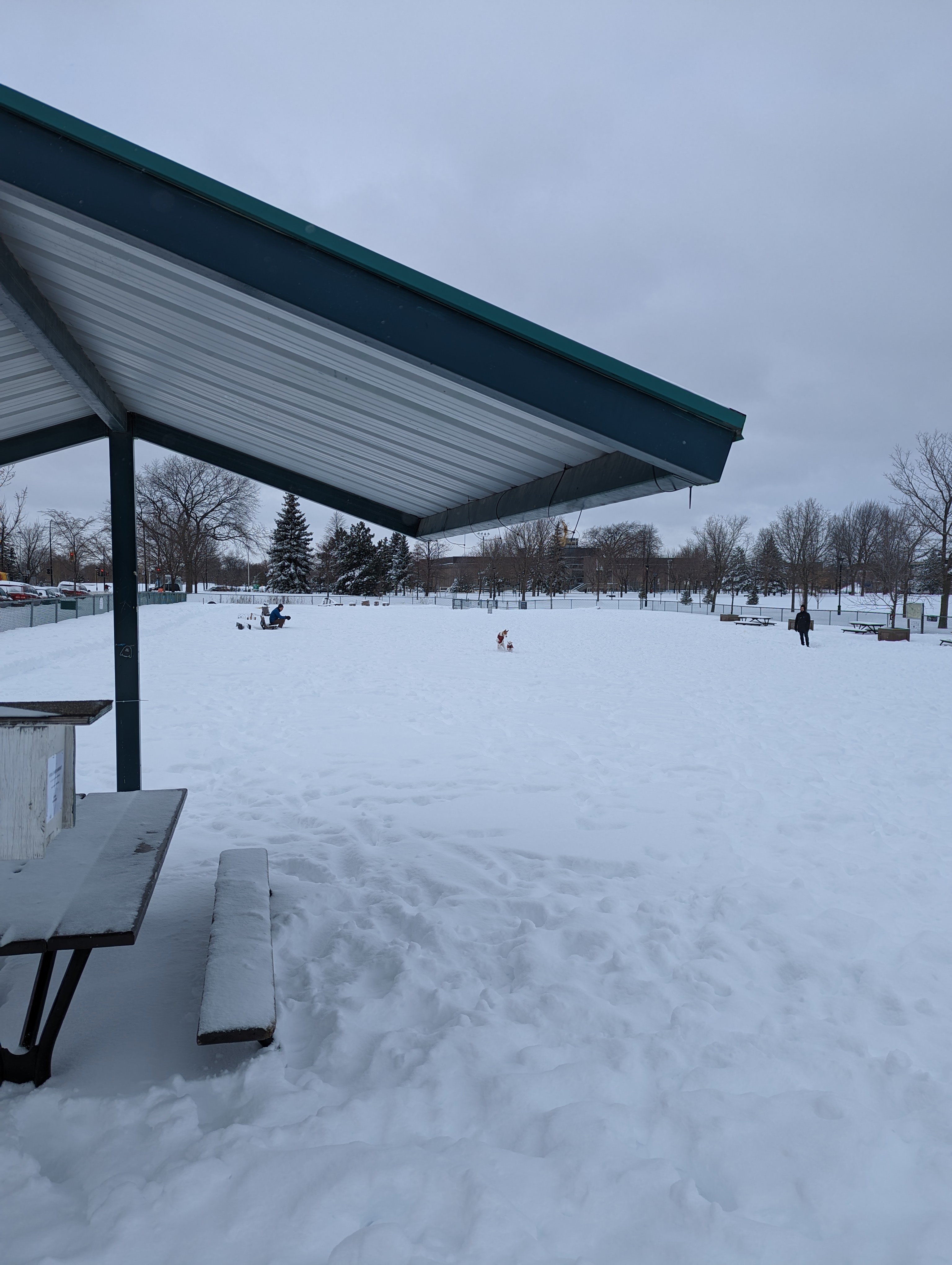 Parc à chiens Père Marquette