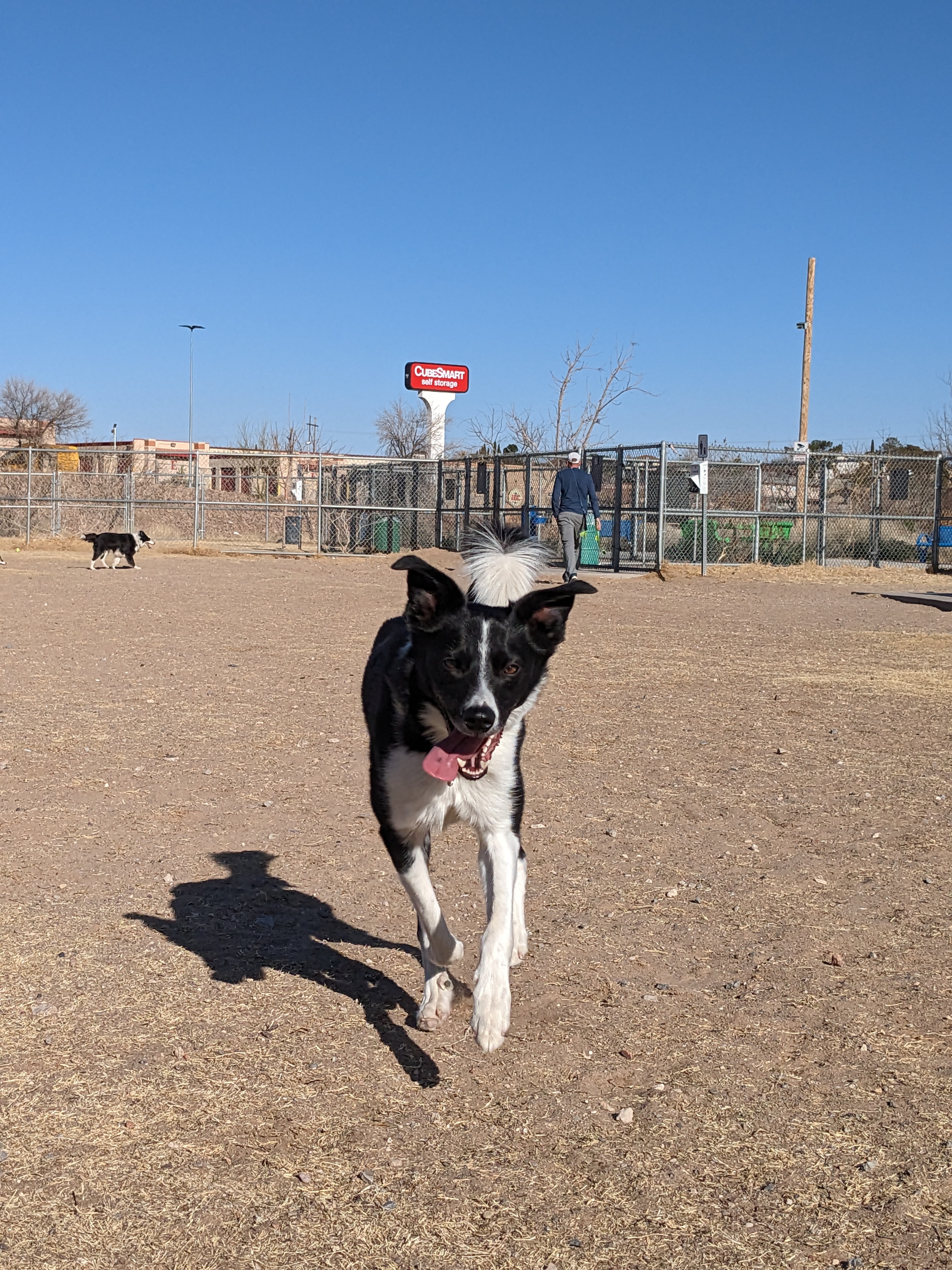 Argal Dog Park