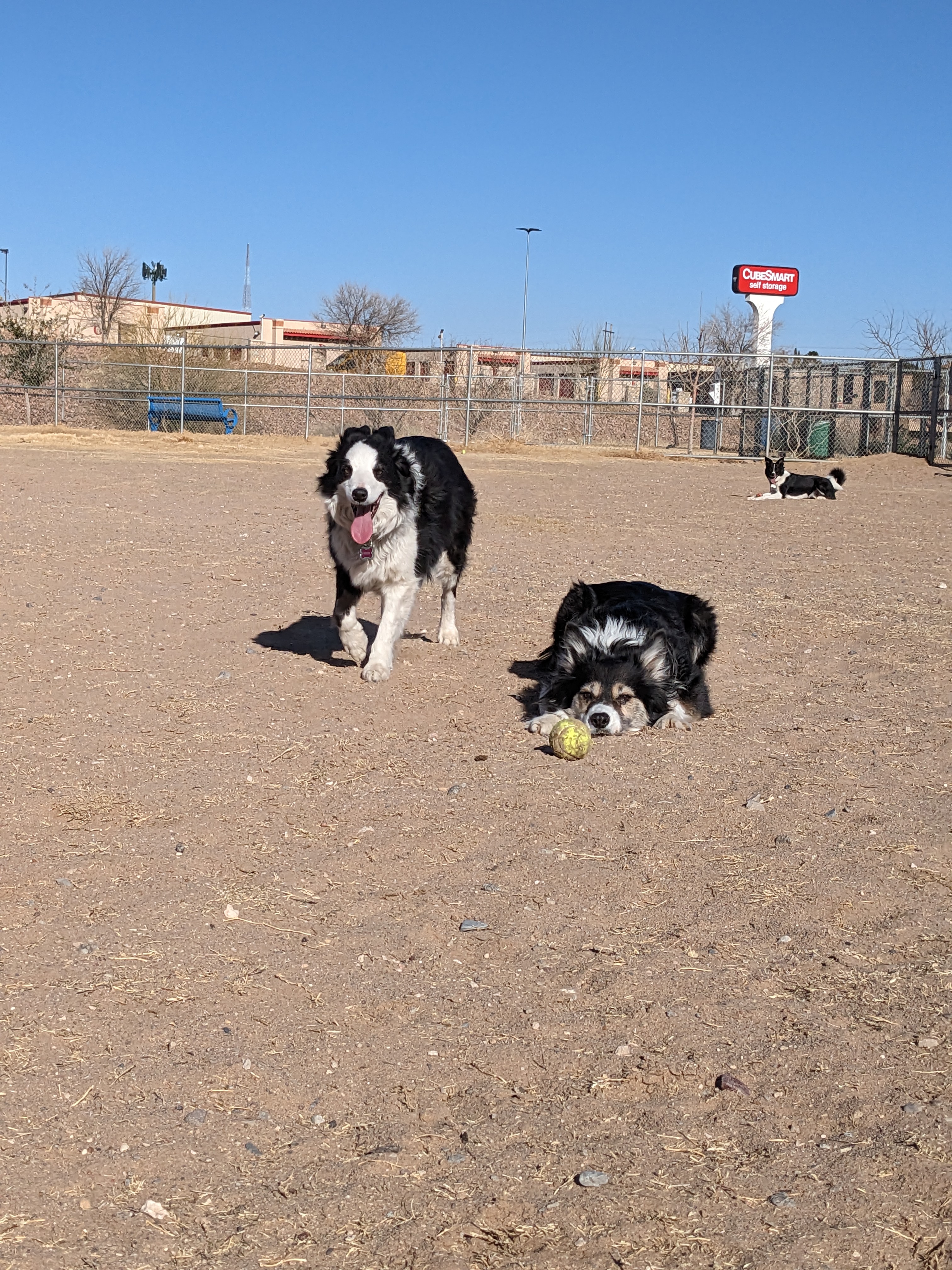 Argal Dog Park