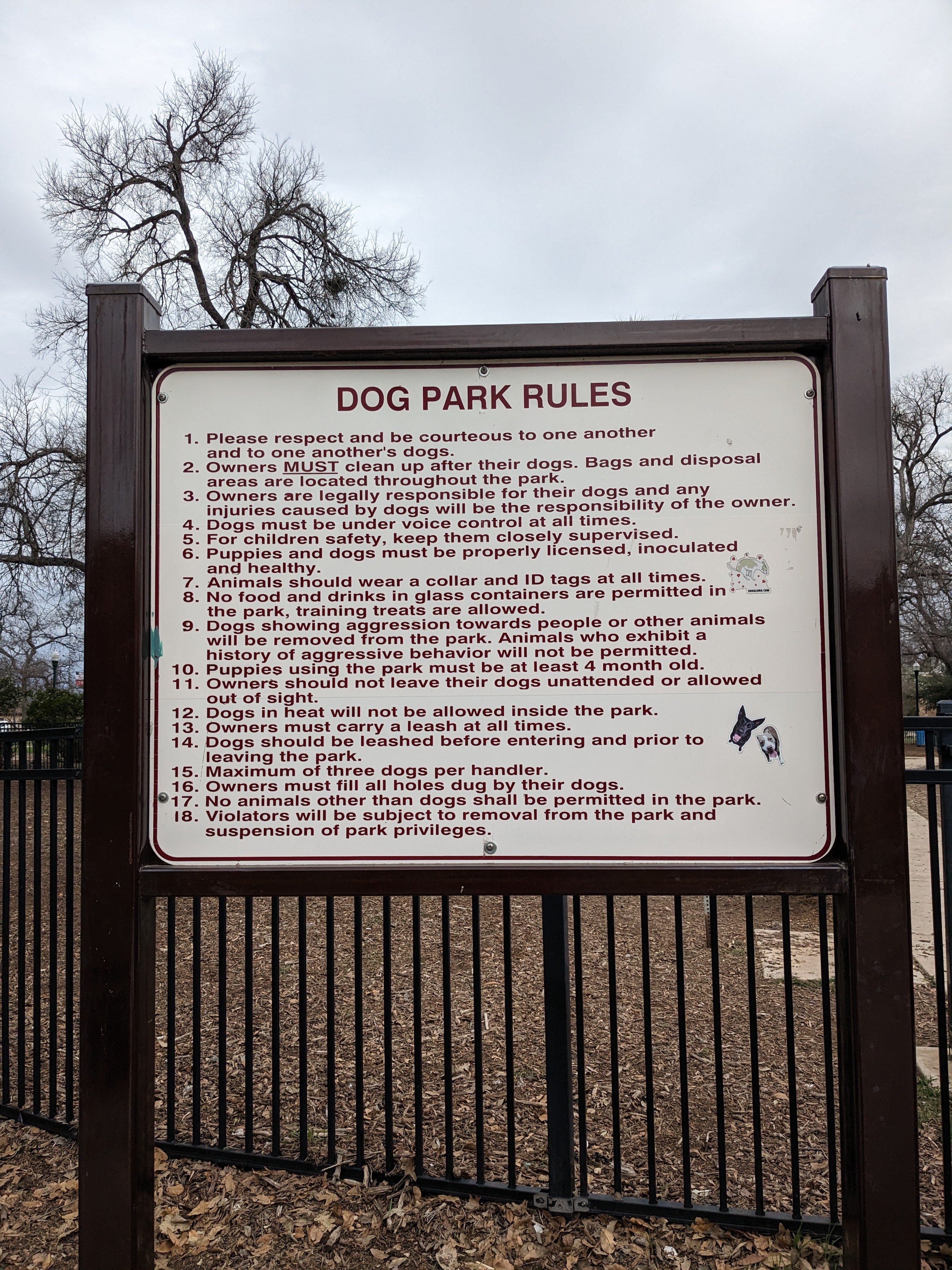 Madison Square Dog Park