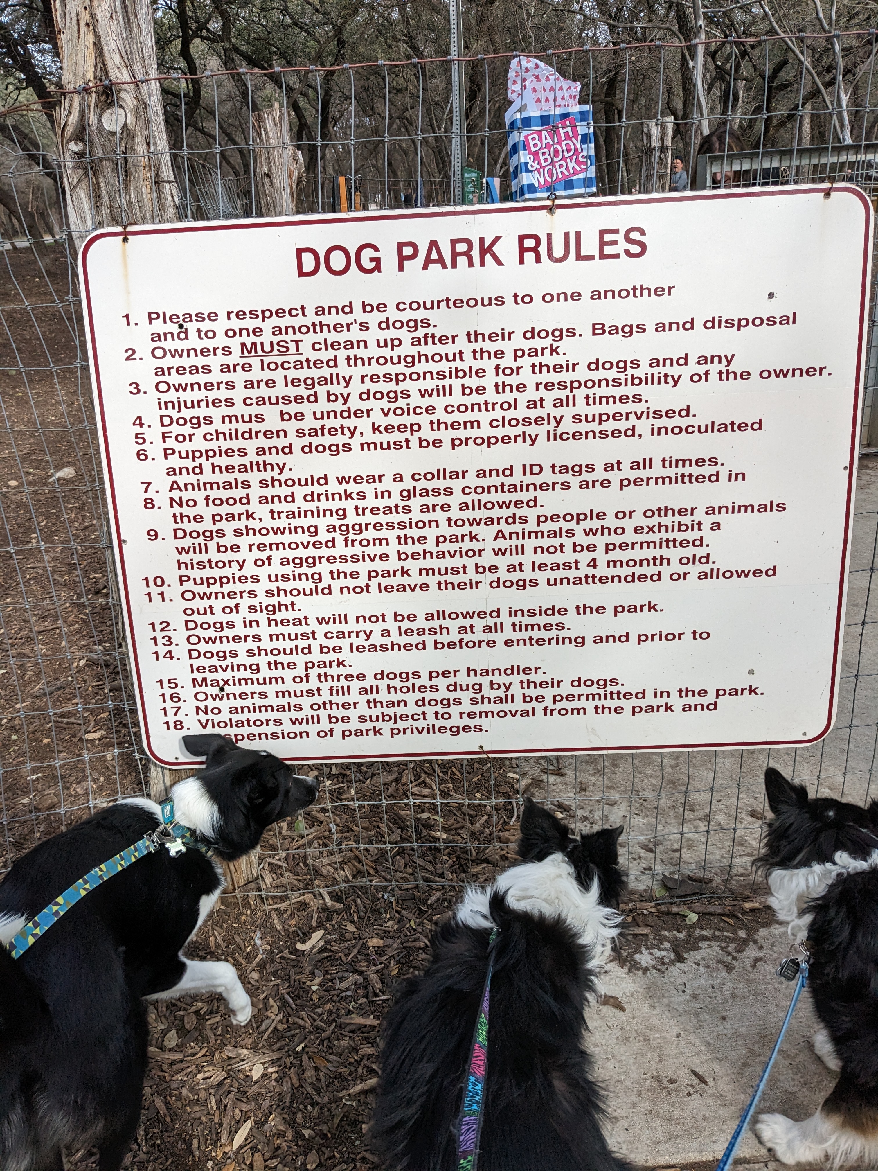 Hardberger Park - Dog Park (East)