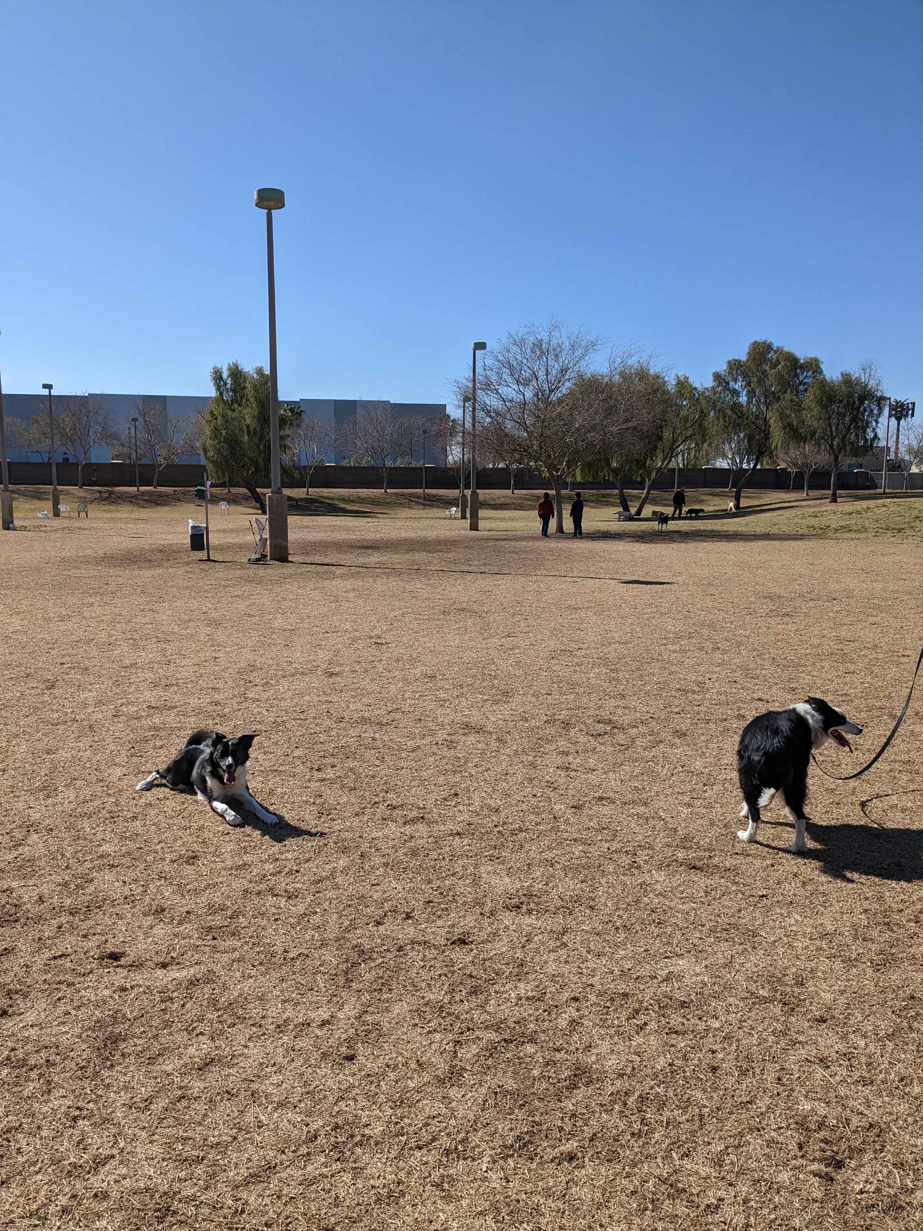 Quail Run Park Off Leash Dog Area