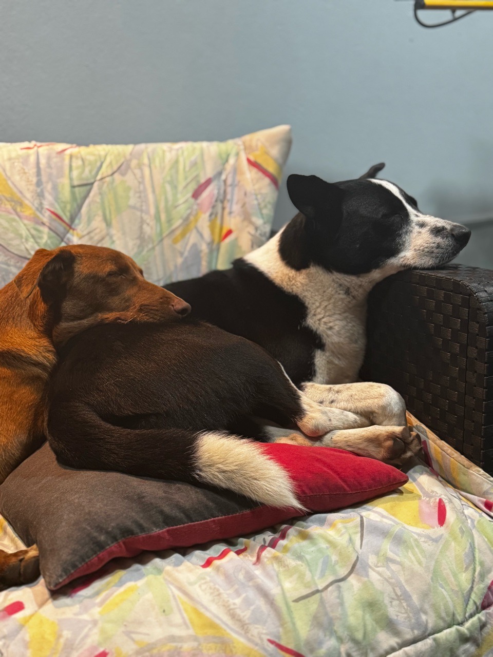 Chitrakoot sector 3(b)