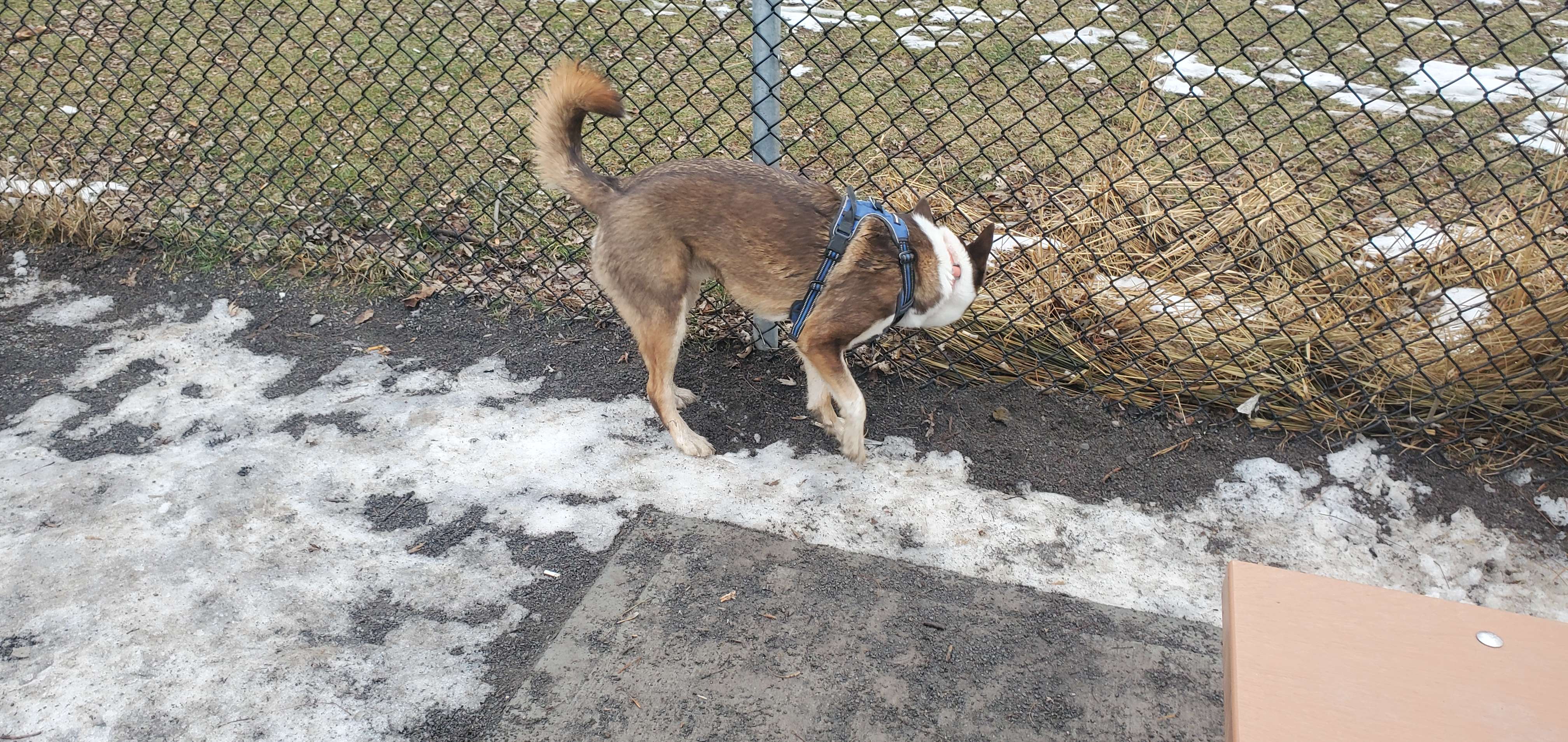 Park George Saint Pierre