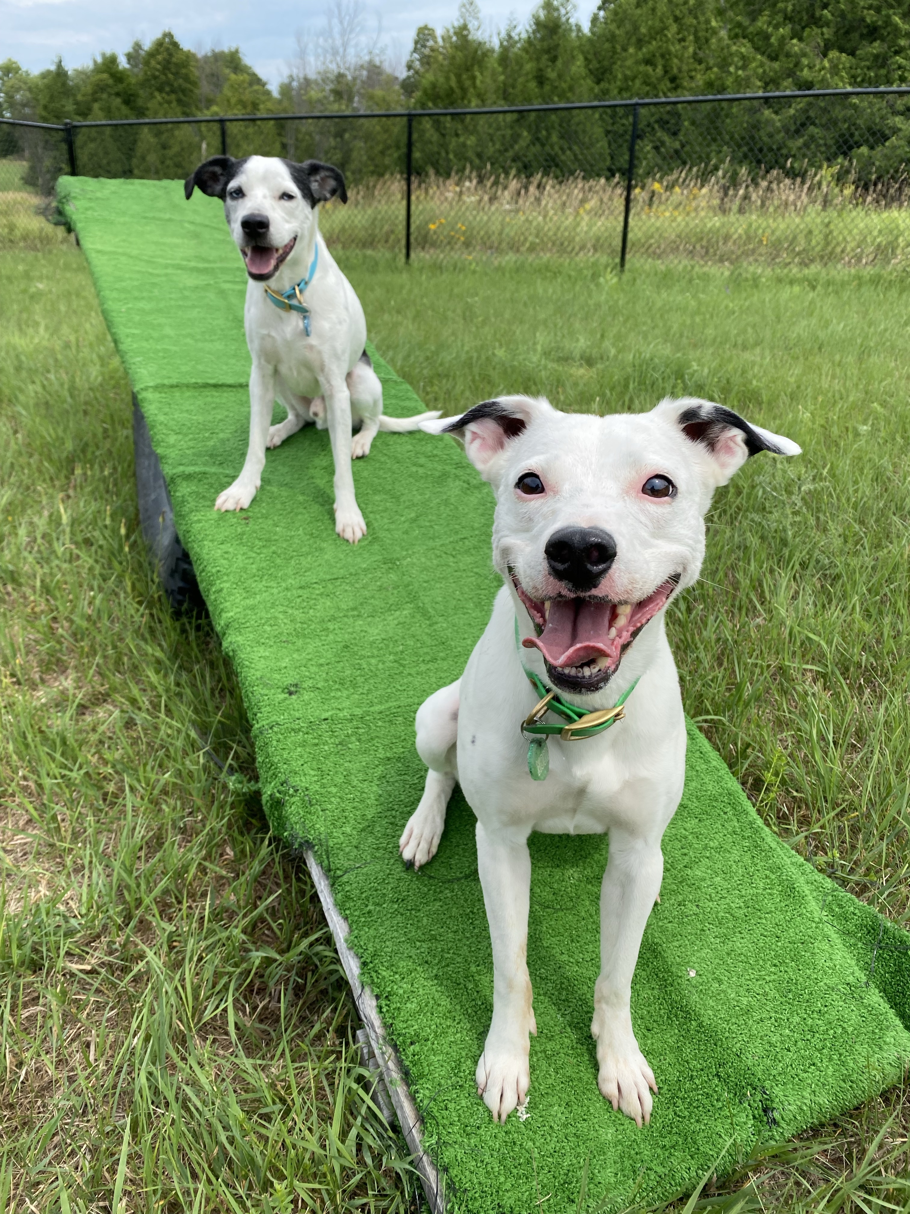 Pawradise Acres (PRIVATE PARK)