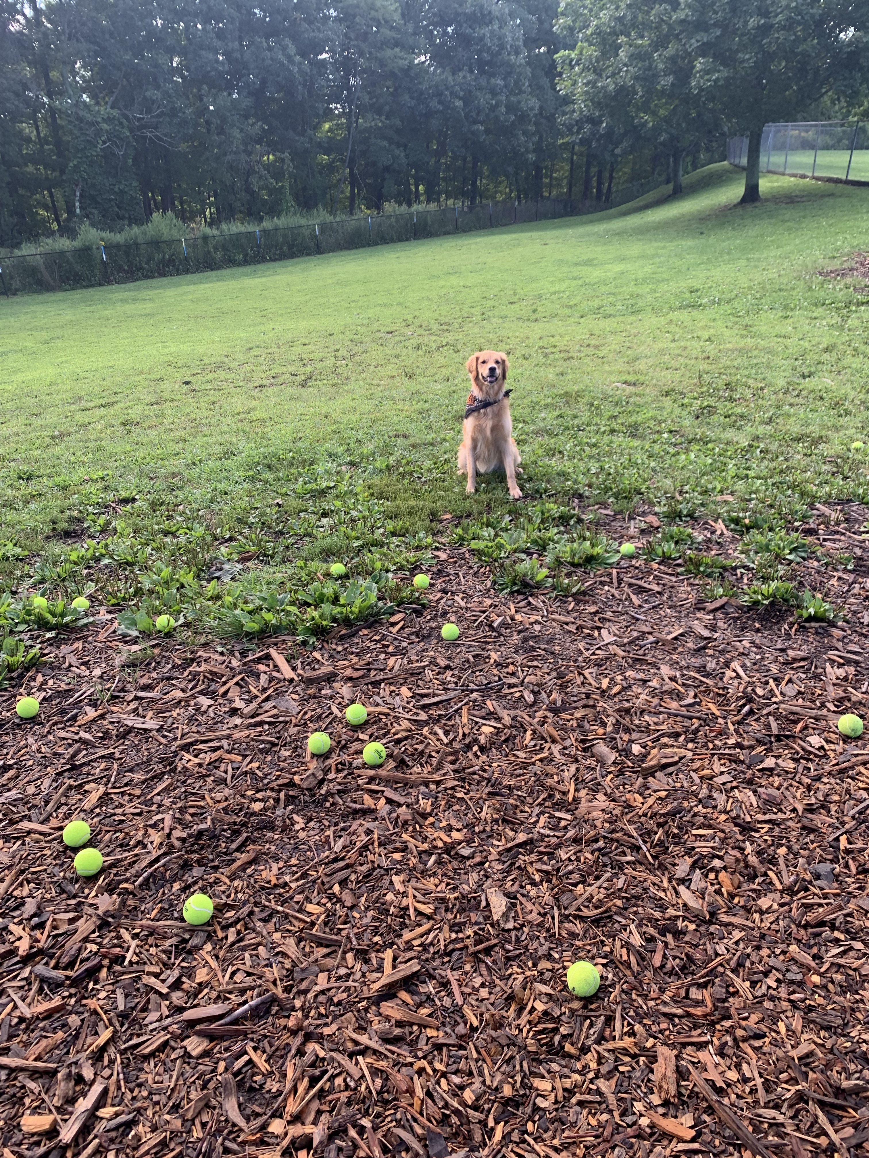 New Fairfield Dog Park