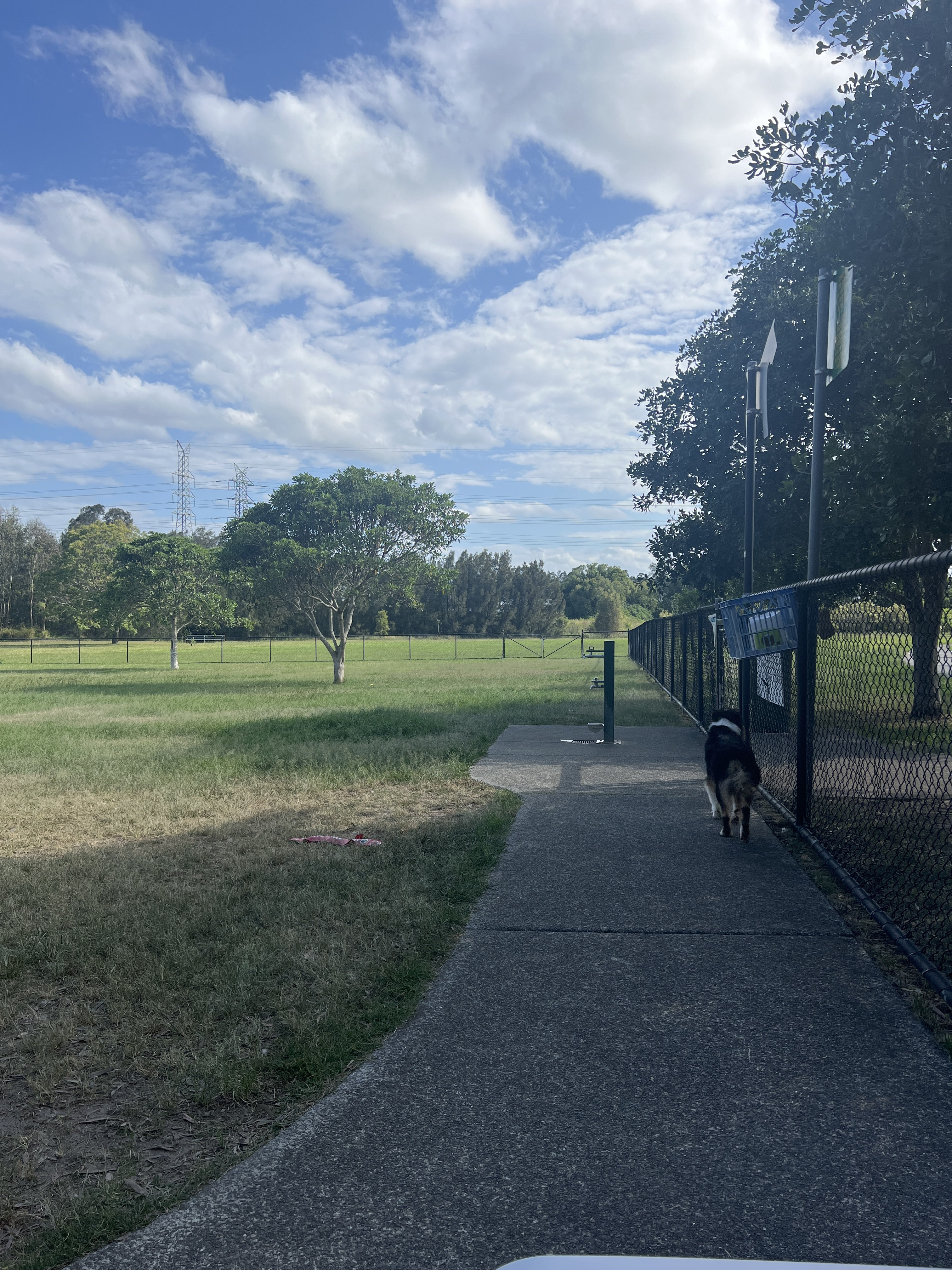 Paul Conti Dog Park