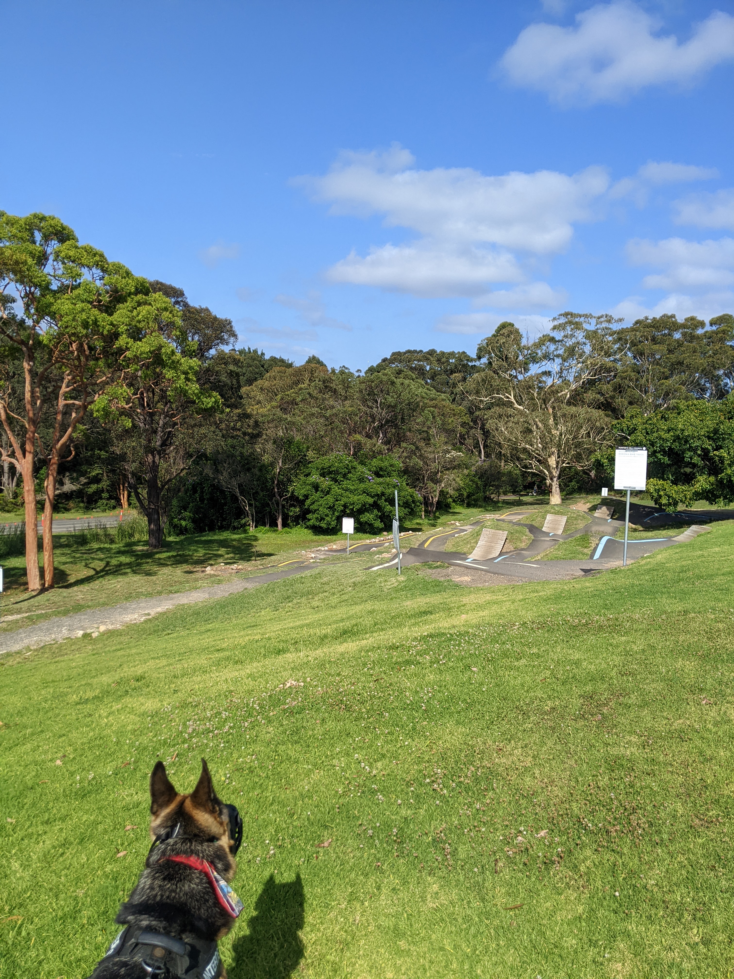 Boronia Off Leash Dog Park