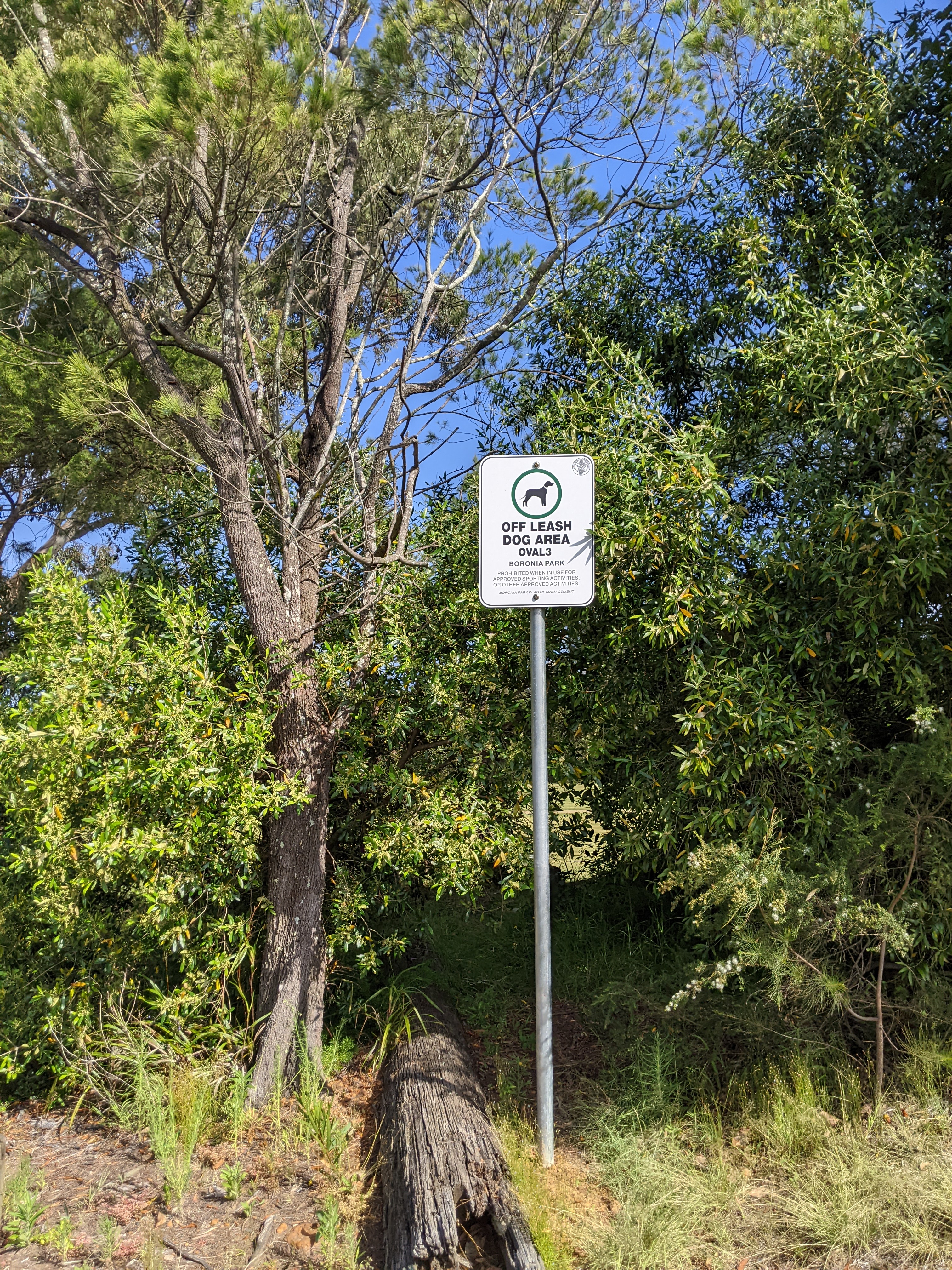 Boronia Off Leash Dog Park