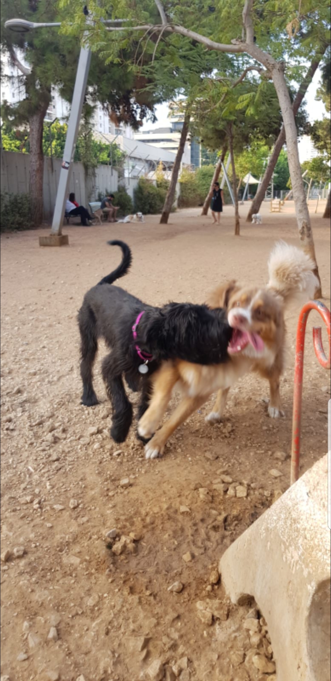 Sderot Hahaskala Park