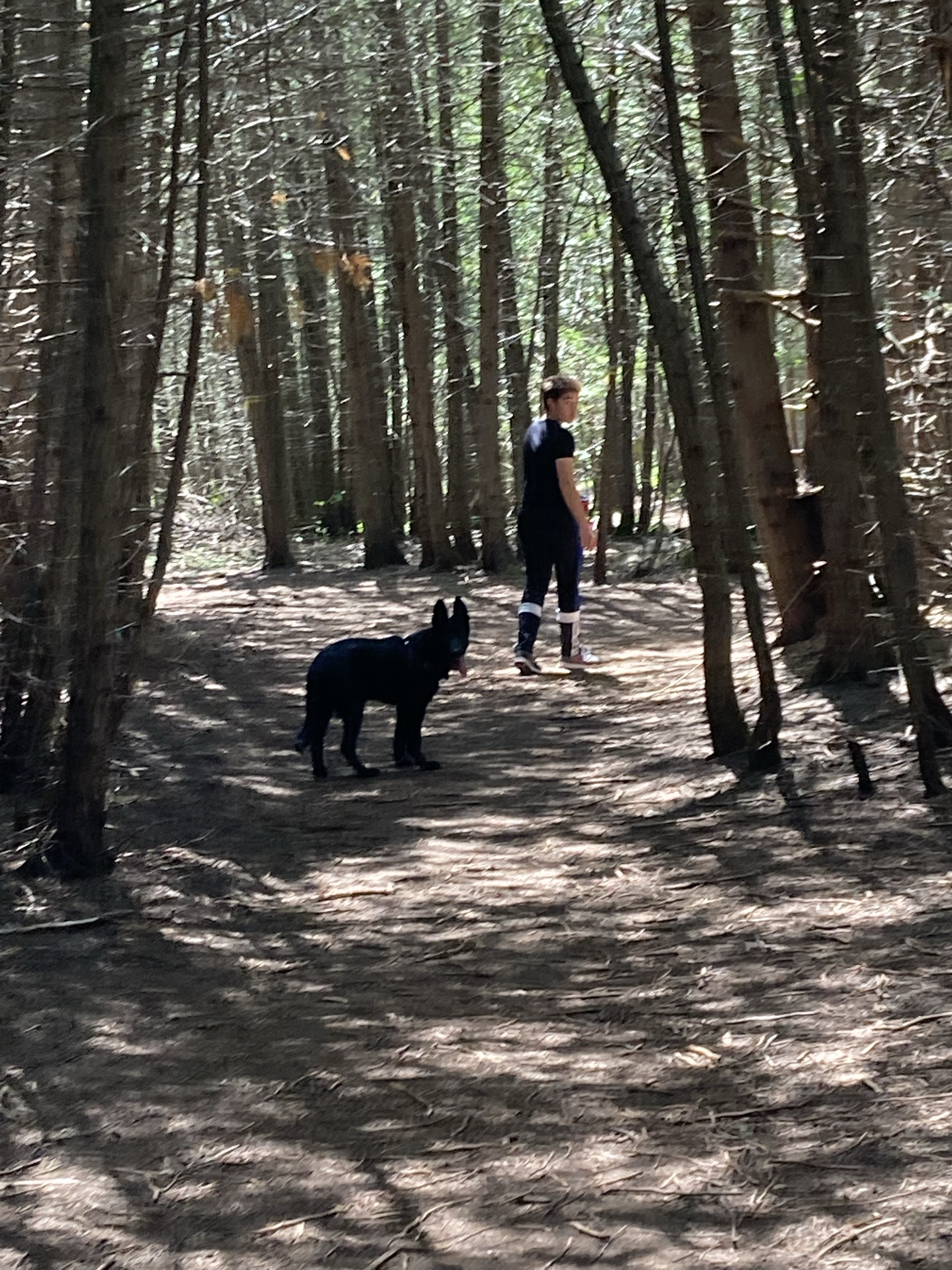 Barkwood Forest ( Members Only)