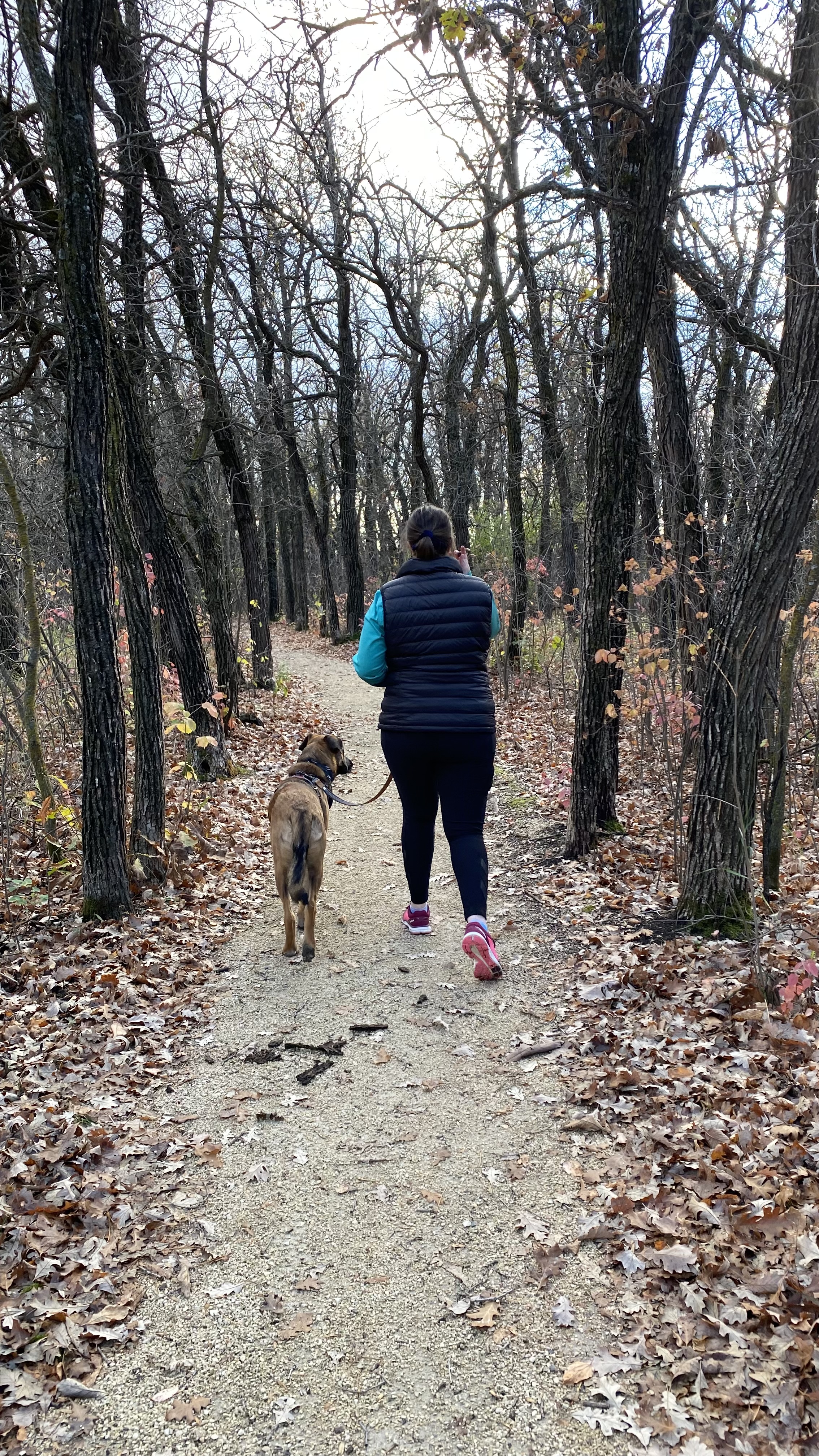 Parc Grande Pointe Park