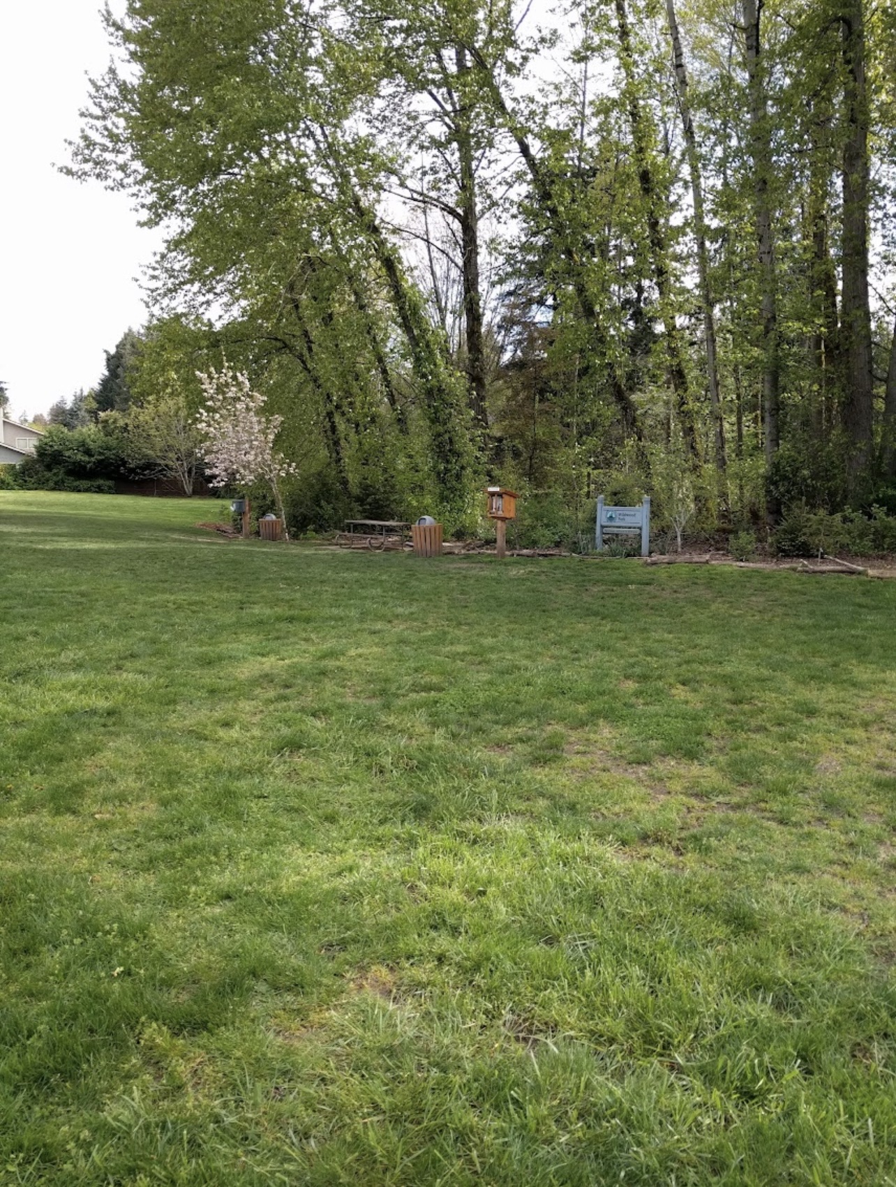 Wildwood Off Leash Dog Park