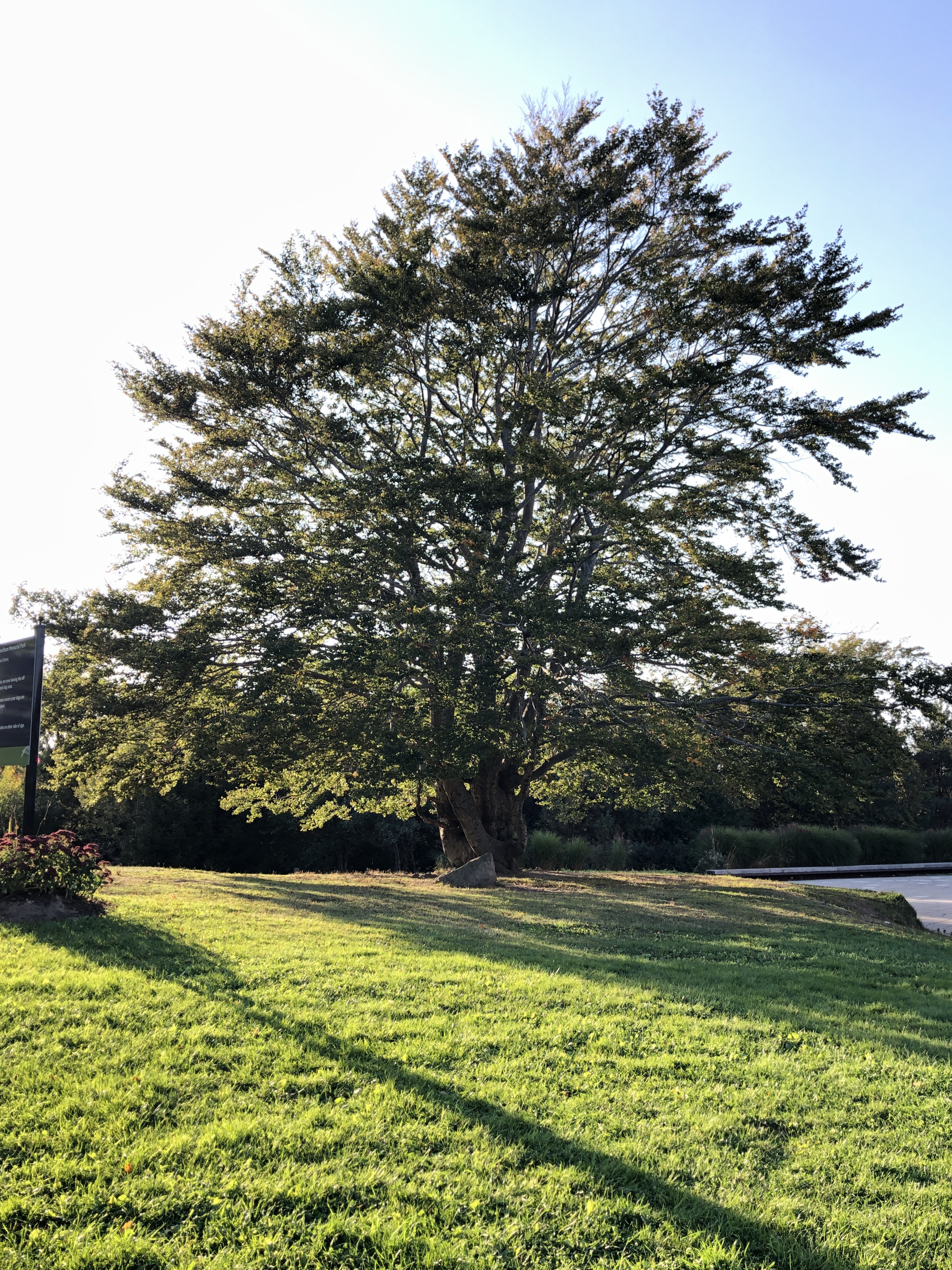 Fort Needham Offleash