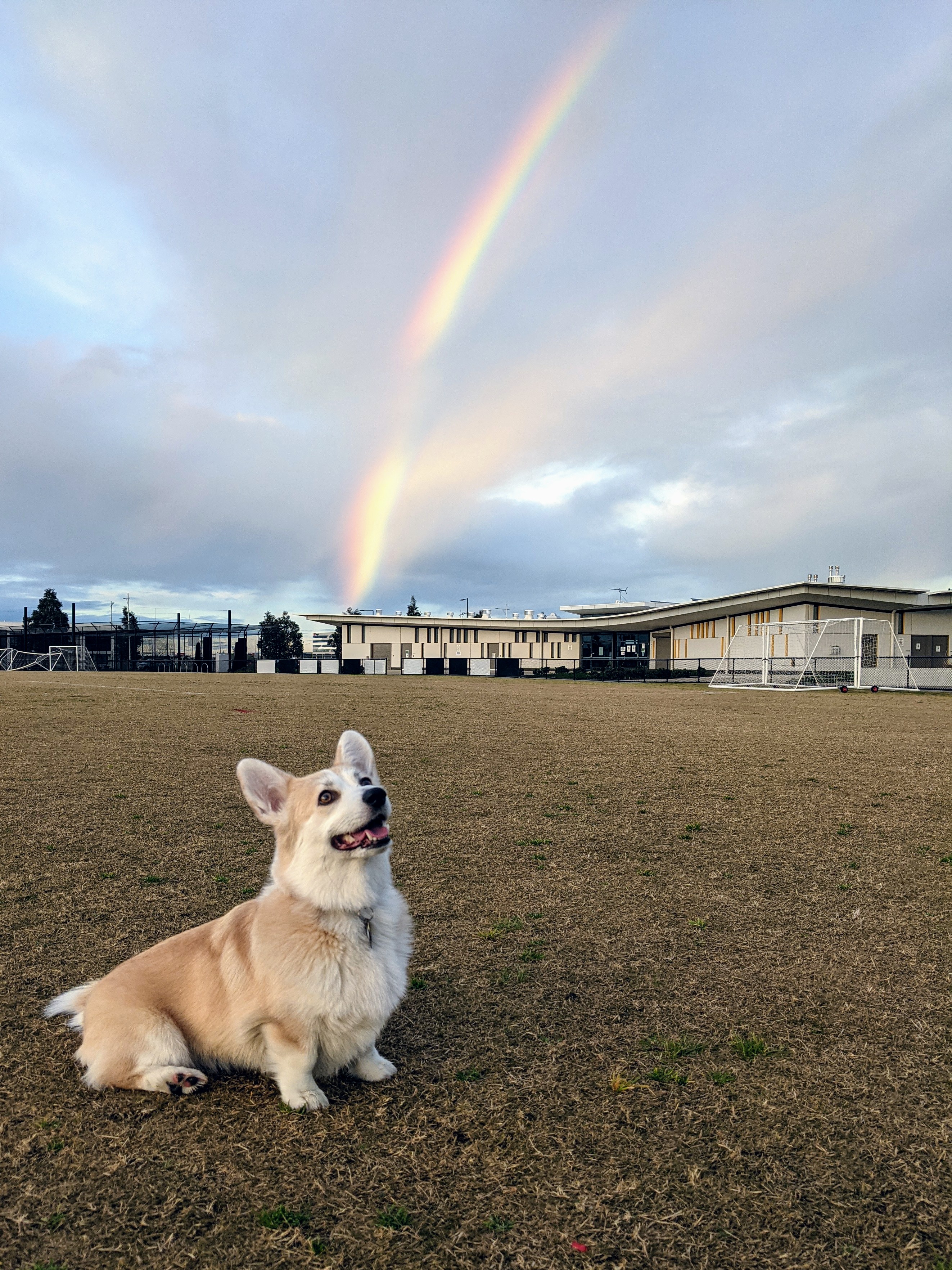 Williams Landing Dog Park
