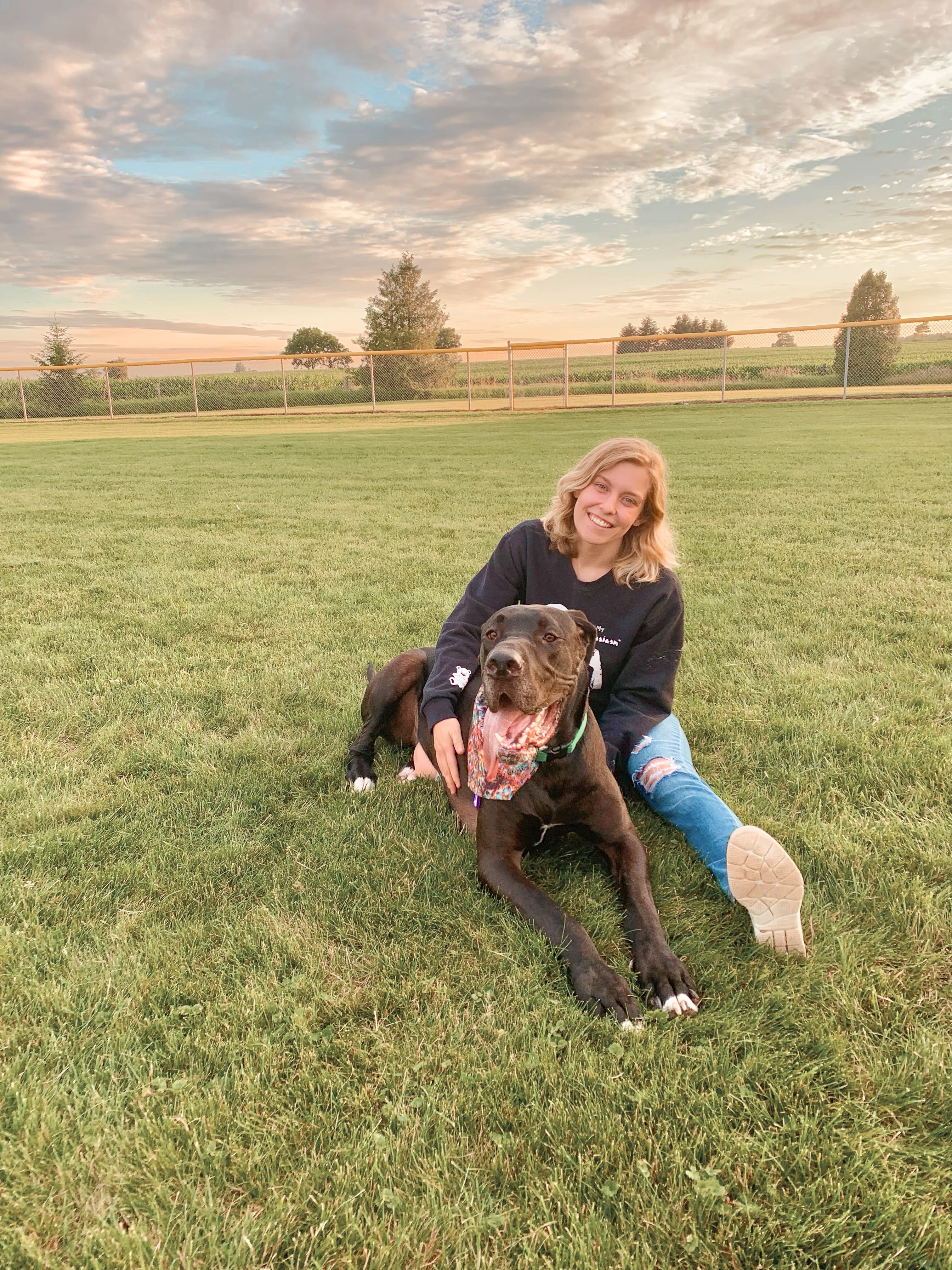 Palmerston Baseball Diamonds