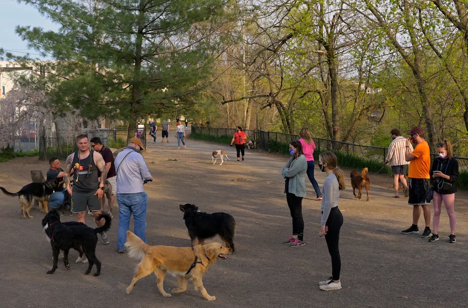Shirlington Dog Park