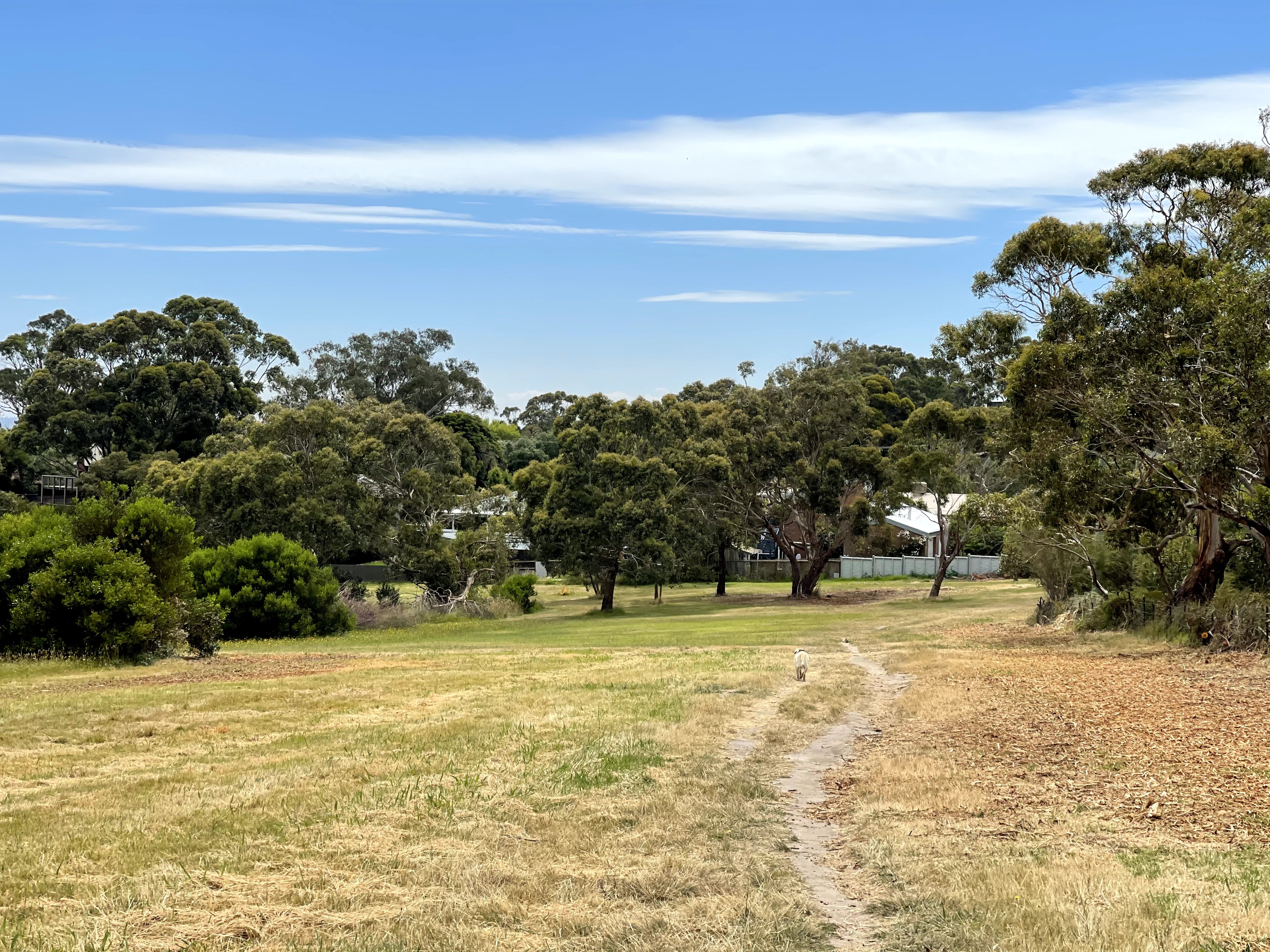 Mount Martha Scrubland