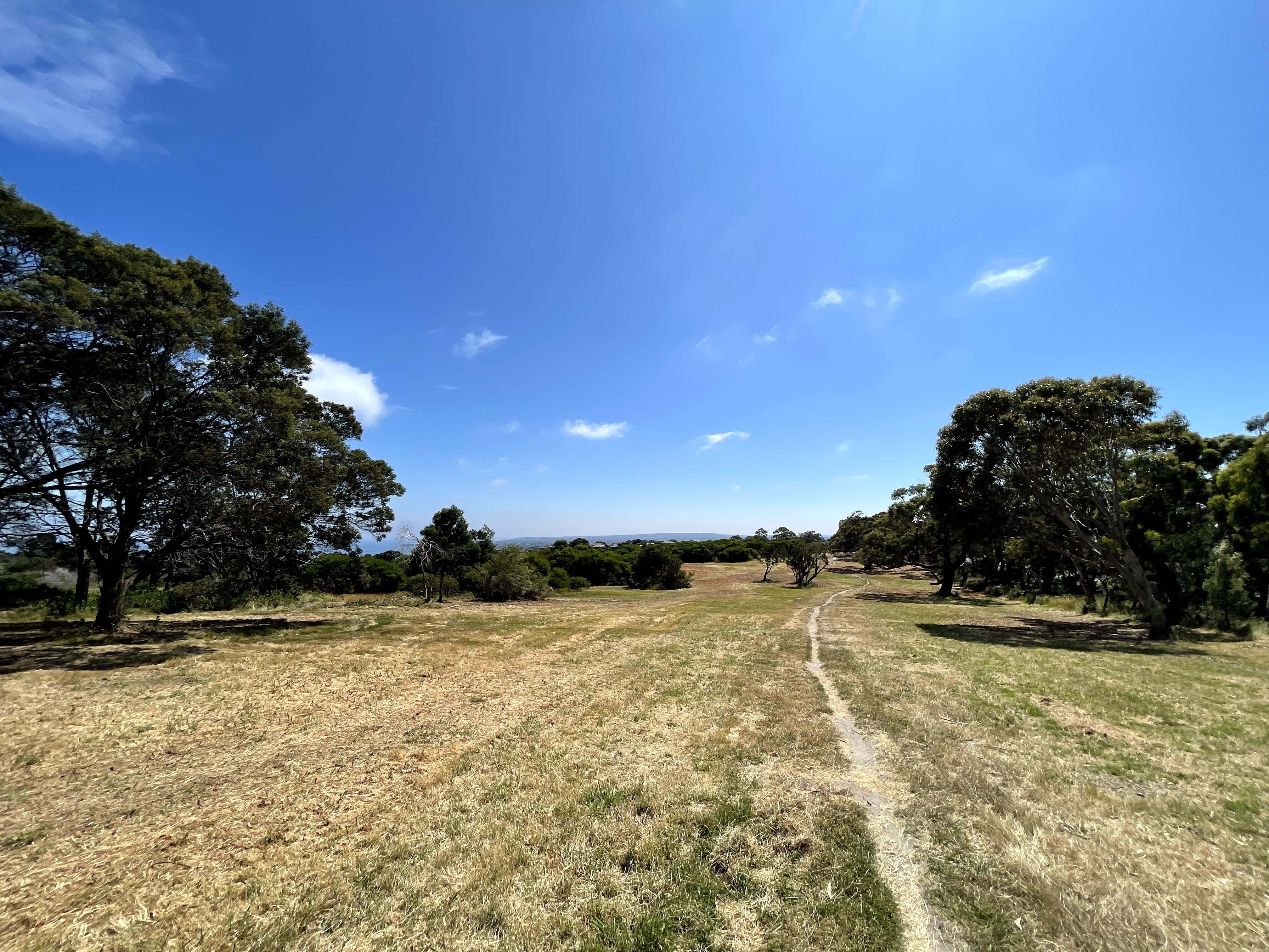 Mount Martha Scrubland