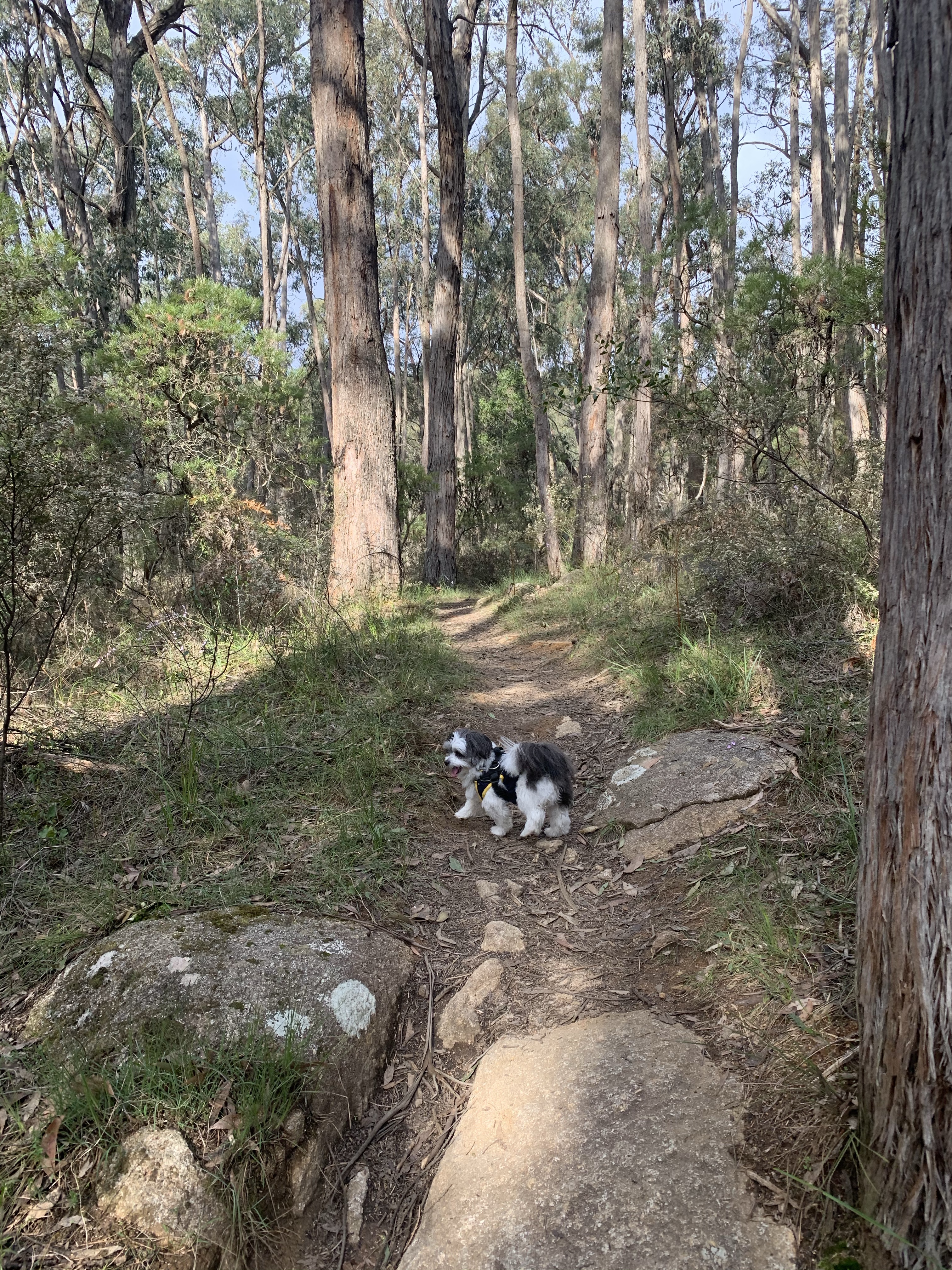 You Yangs Regional Park