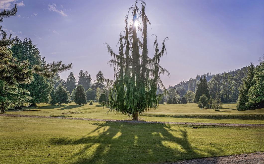 Former Wayne Golf Course