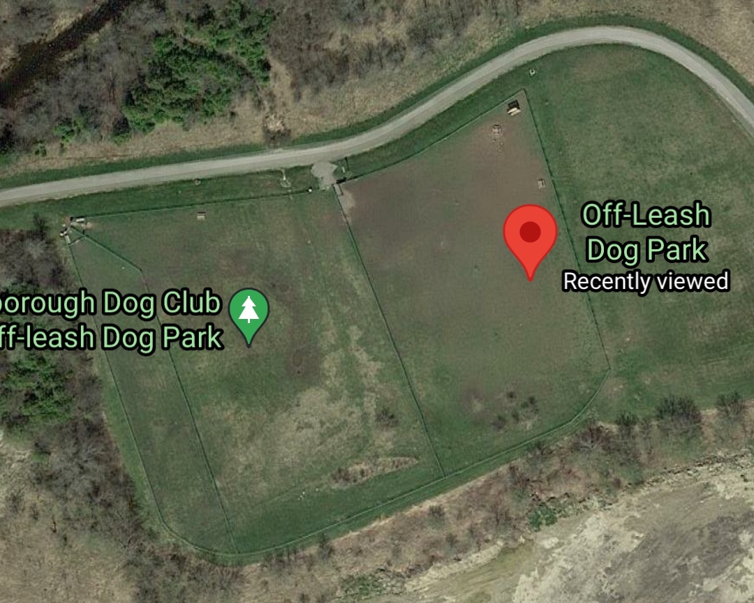 Peterborough Dog Club Off-leash Dog Park