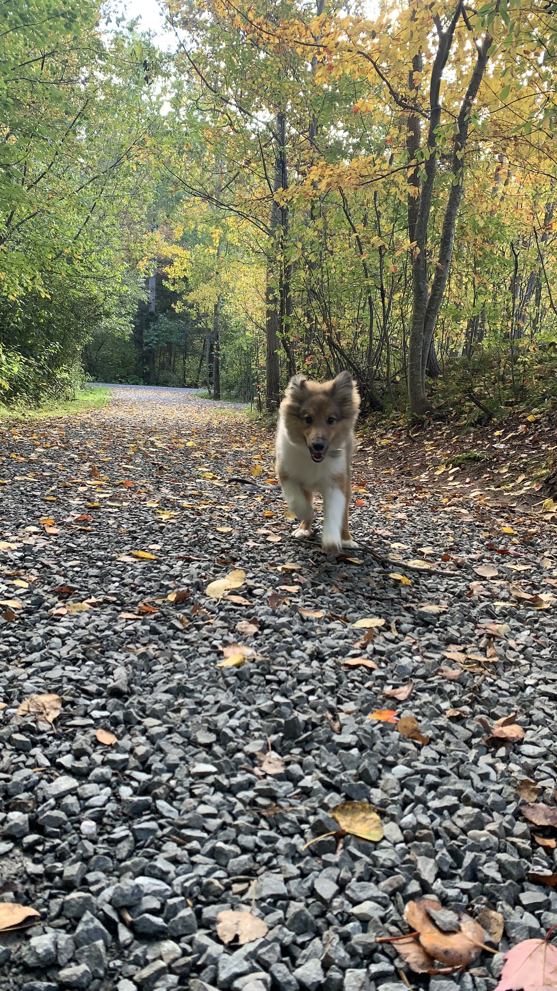 Wolfville Reservoir Park