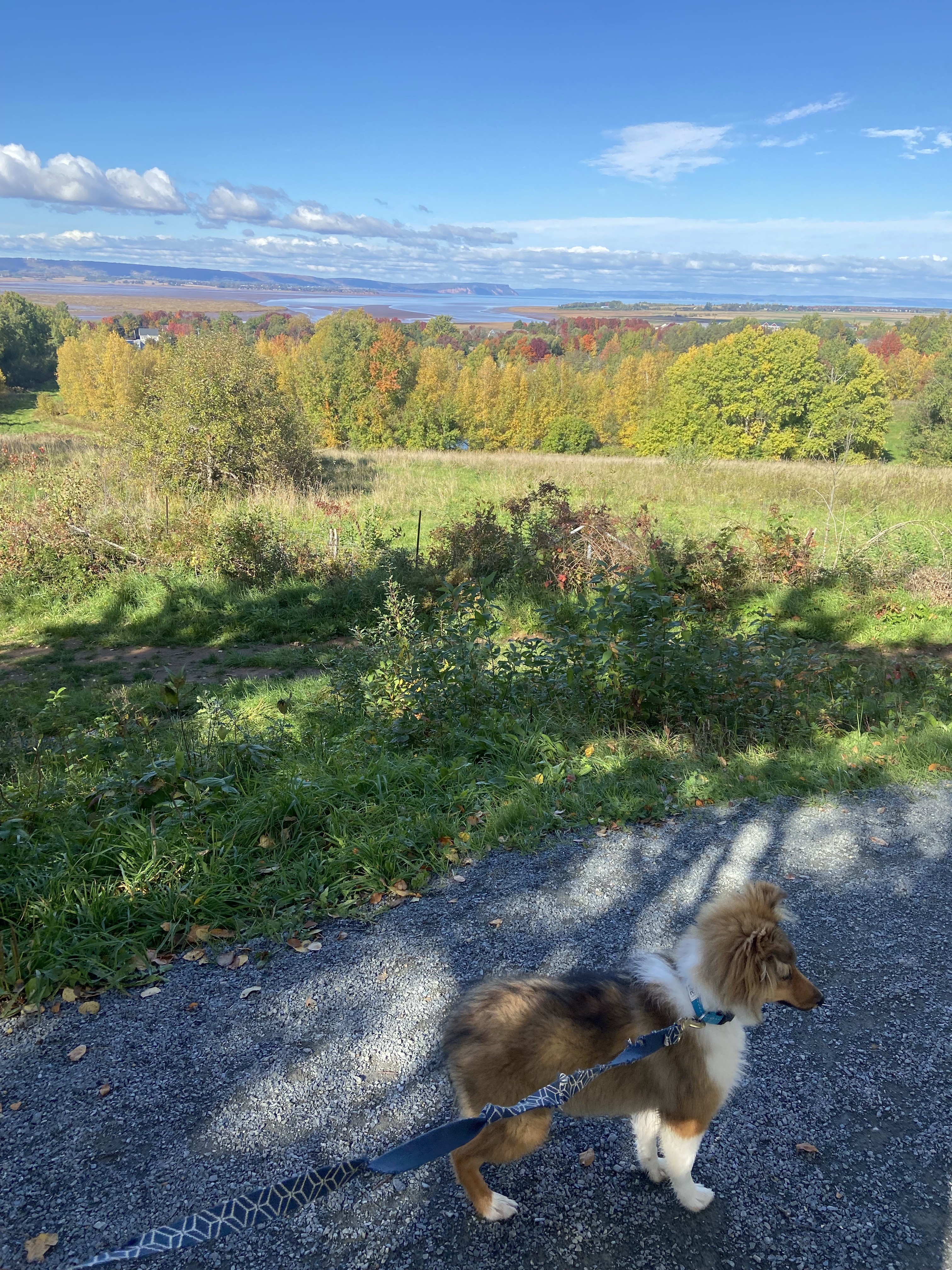 Wolfville Reservoir Park