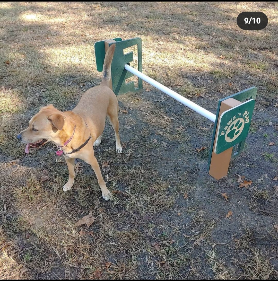 Brooklawn Dog Park