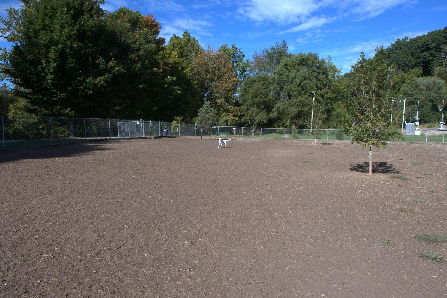 Vance Street Dog Park