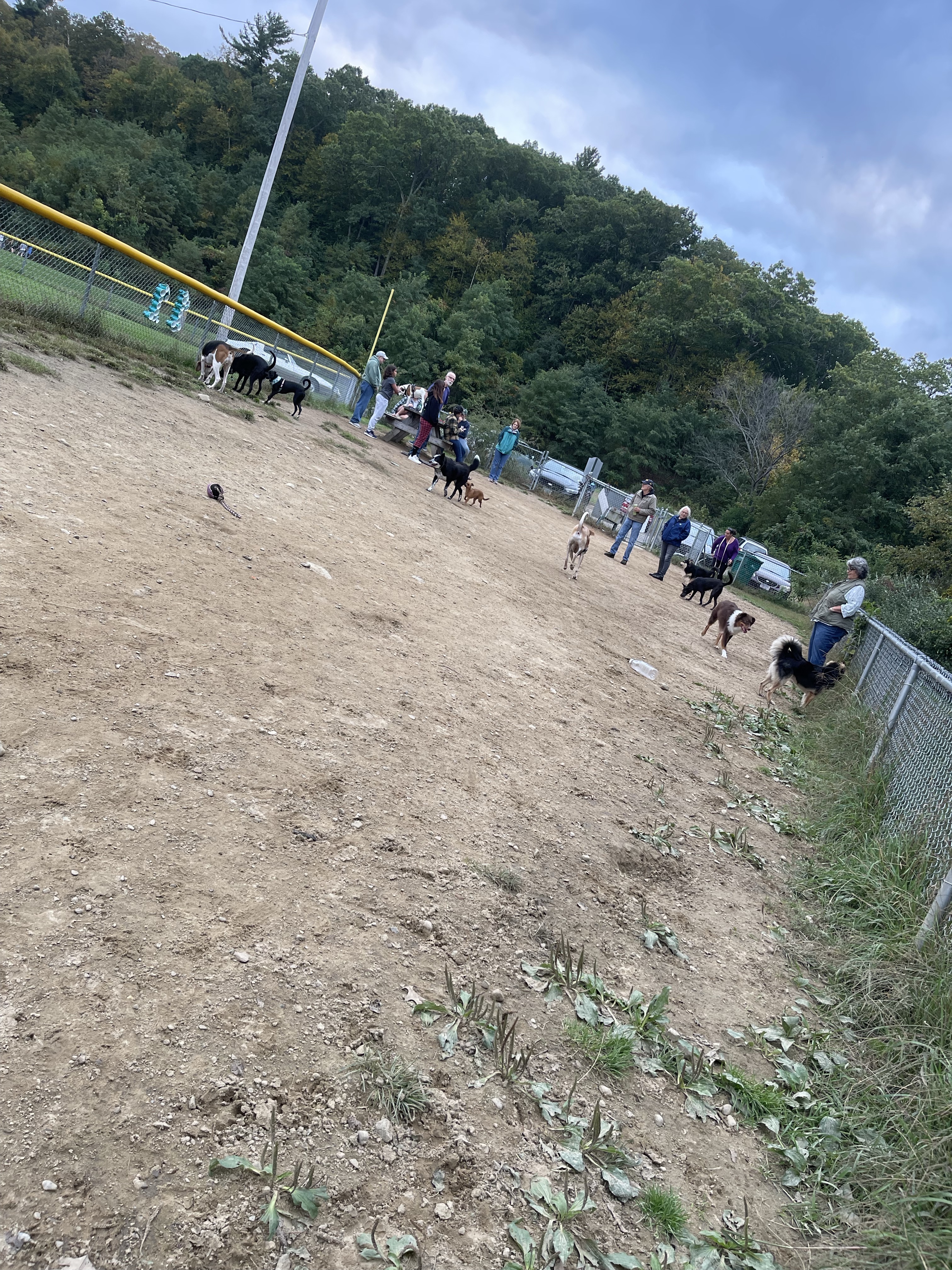 Pines Recreation Dog park