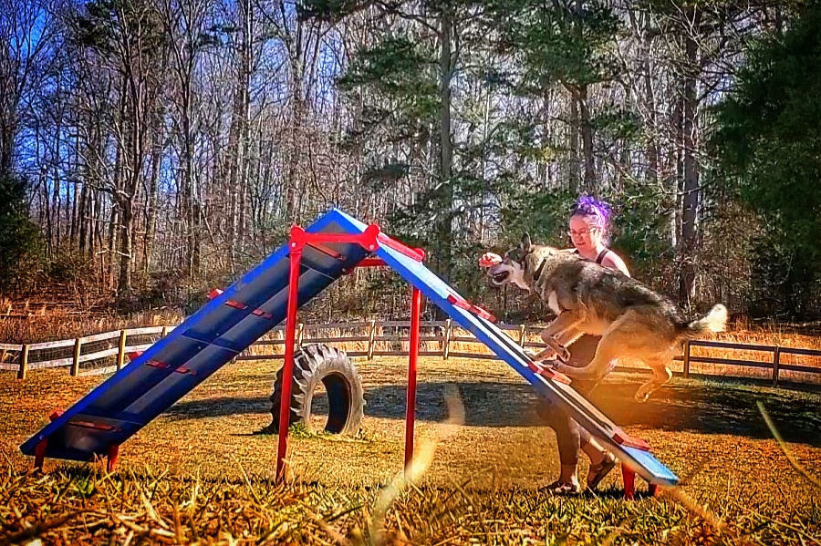 Louisville Point Dog Park