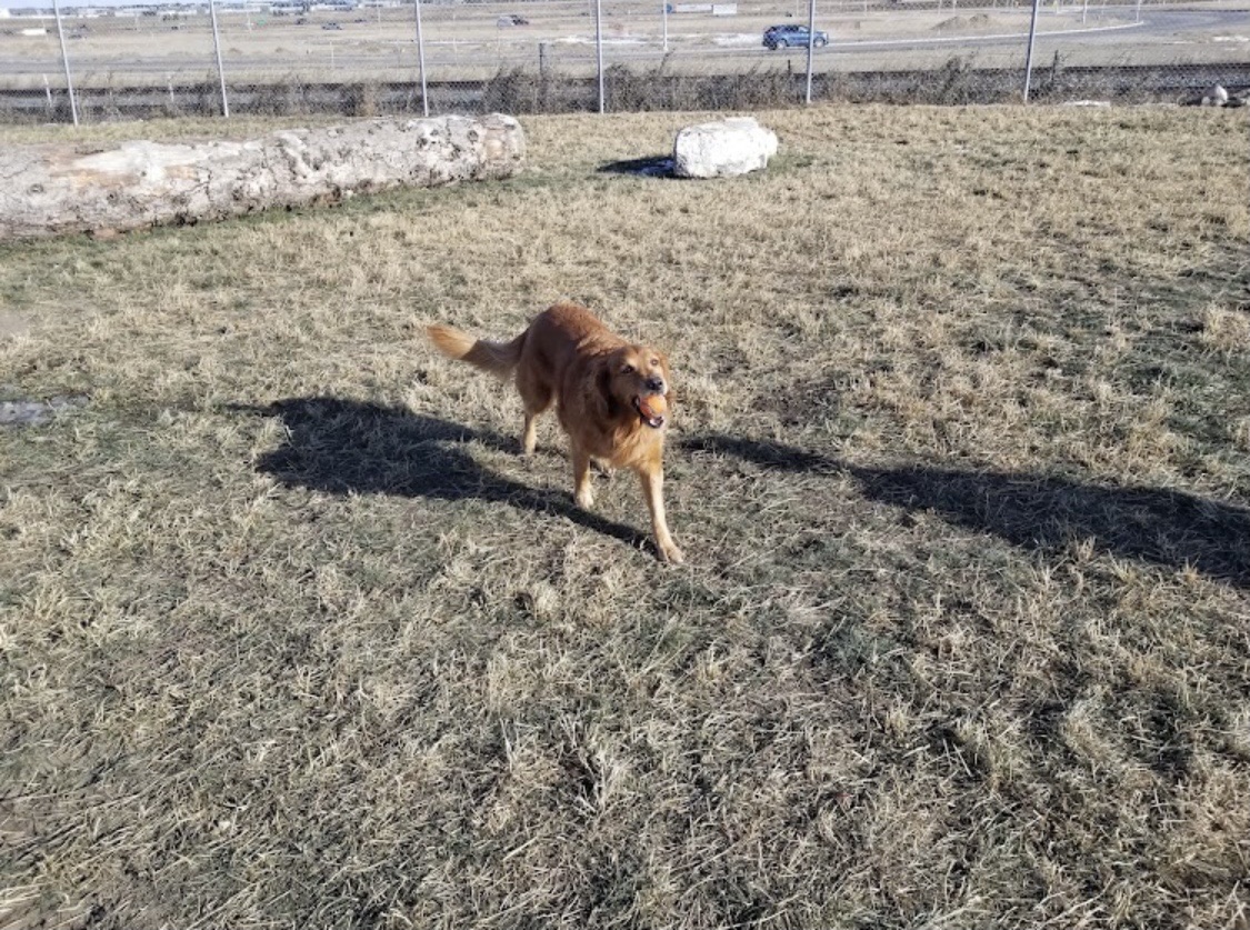 South Point Dog Park